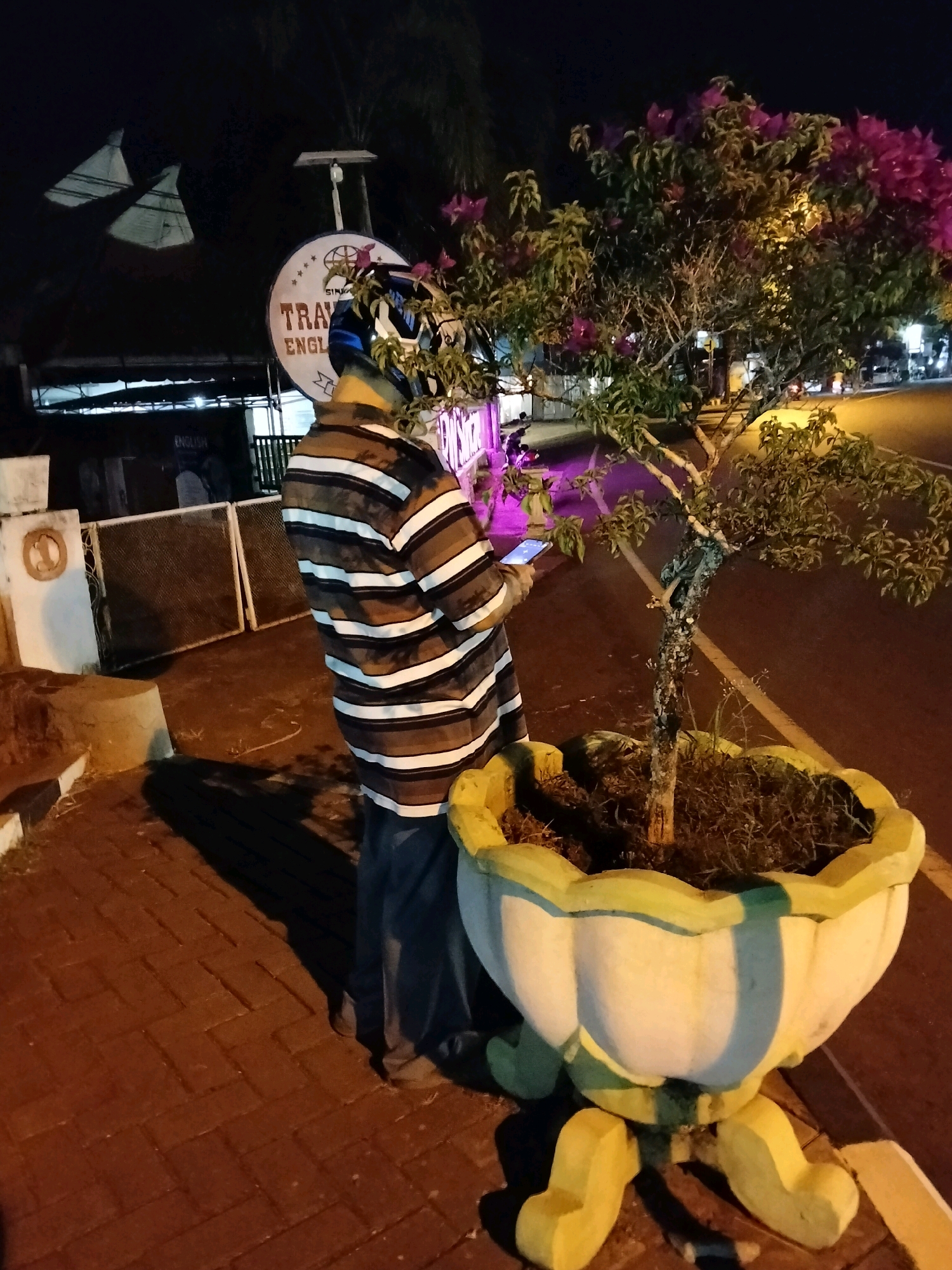 A person wearing a striped shirt and jeans stands on a brick walkway at night, holding a smartphone. They are positioned next to a potted flowering tree. In the background, a sign with the text "TRAVEL ENGLISH" is visible, suggesting the location might be a travel agency or educational institution. The environment appears to be a street with a road and possibly buildings in the distance. The image is captured in Purworejo, Indonesia.