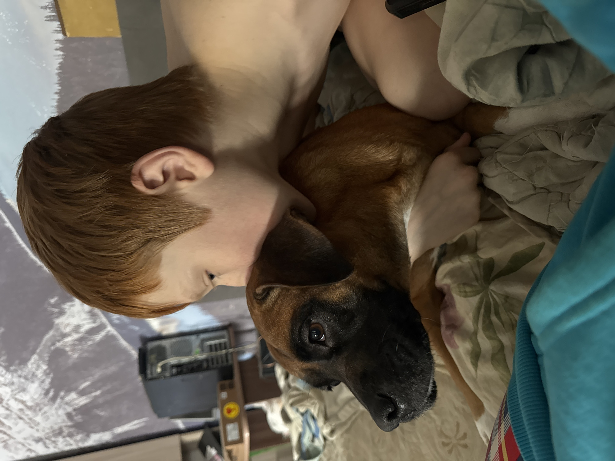 A photograph shows a light-skinned child with short, reddish hair lying close to a dog indoors. The child's head is near the dog's neck. The dog is mostly brown with a black snout. The dog is lying on a bed with a floral patterned sheet partially visible. In the background, there are items on a shelf. There is no information in the image that would allow for identification of the location in the city of Chaikovsky, Russia.
