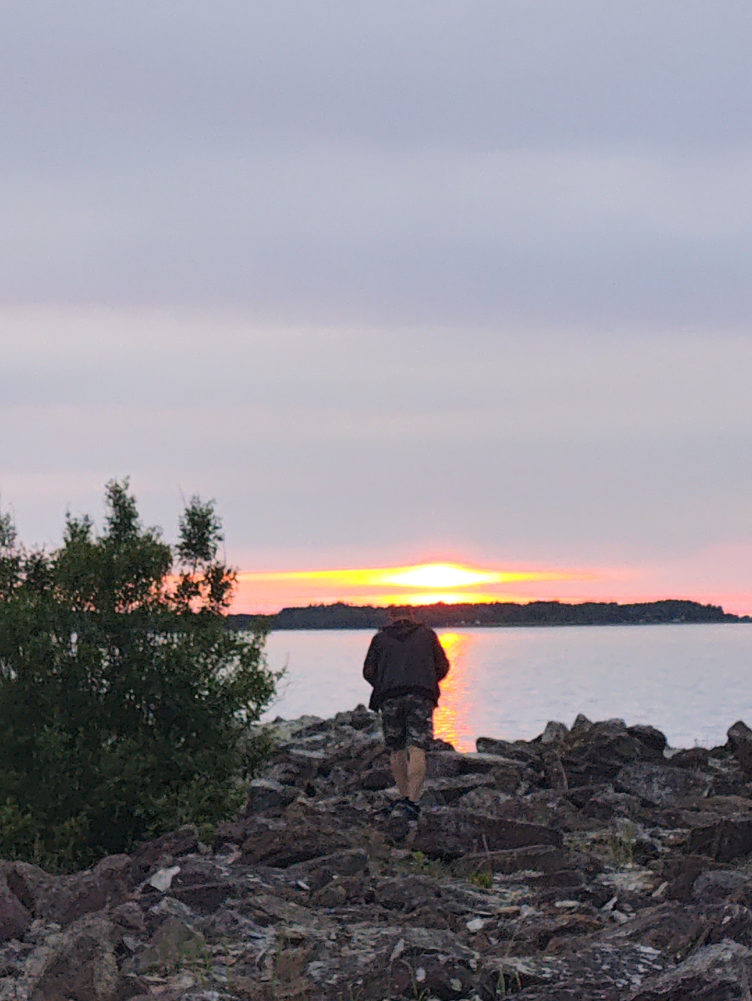 A person wearing a dark hooded sweatshirt and camouflage shorts stands on a rocky shore, facing away from the camera and towards a body of water. The sun is setting on the horizon, casting a warm glow over the water and clouds. A green tree is visible to the left of the frame. The ground is covered in dark, rough rocks. The image appears to be taken in Tallinn, Estonia, during sunset.