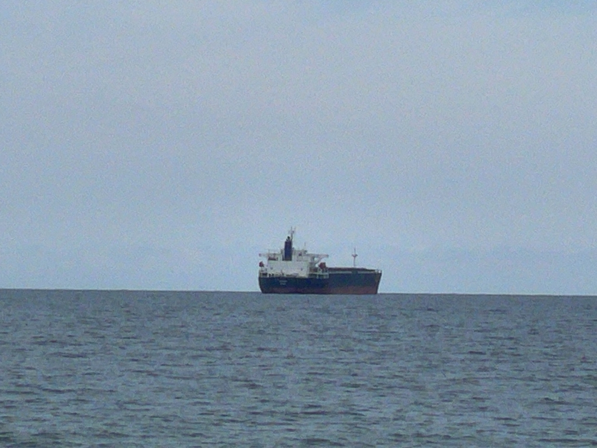 The image shows a large cargo ship on the sea. The sea appears calm with small ripples. The sky is overcast and gray. The scene is nondescript; there are no features indicating the specific location. It is impossible to determine if it is near Varna, Bulgaria, or anywhere else.