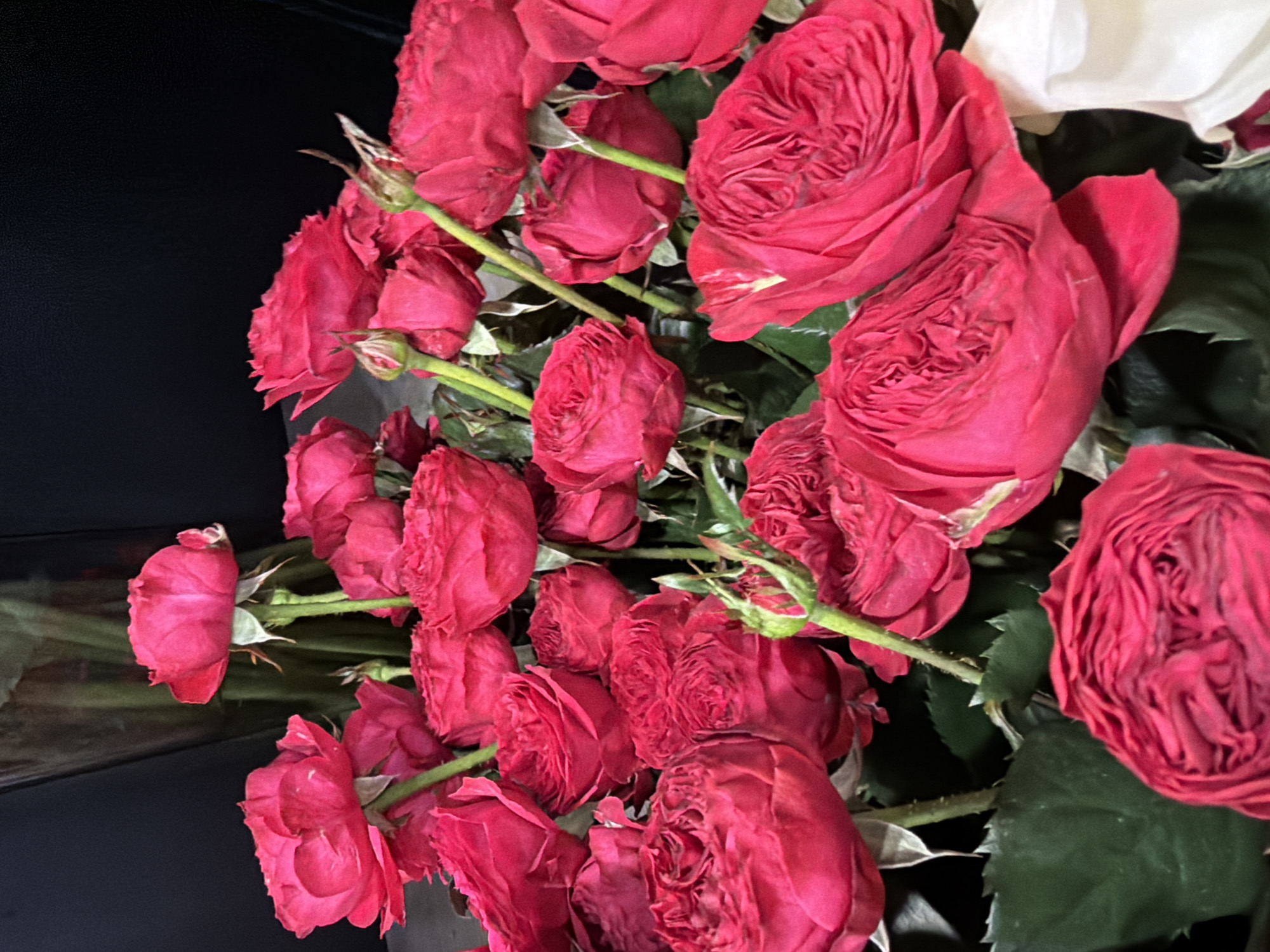 A close-up, eye-level shot captures a bouquet of deep pink roses against a dark background. The roses, some fully bloomed with tightly packed petals and others in bud form, are the primary focus. The lighting highlights the velvety texture of the petals and creates subtle shadows. The stems and dark green leaves are visible, adding depth to the arrangement.