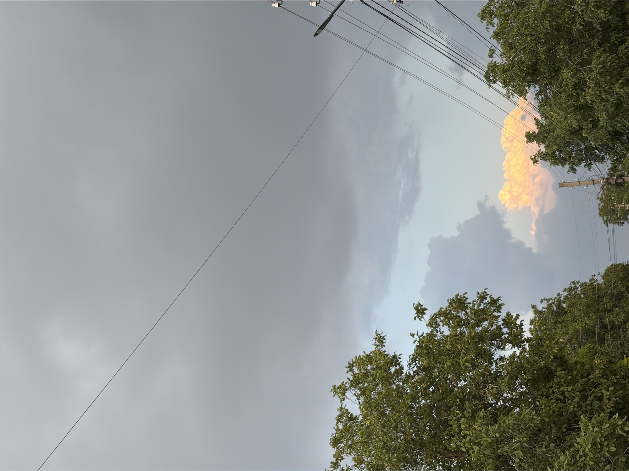 In Oxentea, Moldova, a view of the sky is dominated by a dramatic cloudscape, hinting at an approaching storm. Dark, heavy clouds blanket most of the sky, but a break reveals a distant, brightly illuminated cloud bathed in the warm glow of sunset. This vibrant cloud, tinged with shades of orange and yellow, stands out against the cooler grays and blues of its surroundings.
In the foreground, the lush green canopies of two trees frame the lower portion of the image, their leaves rustling gently. Power lines, supported by utility poles, crisscross the scene, adding a man-made element to the natural spectacle. The presence of these lines suggests a residential or semi-urban area. The overall impression is one of nature's power and beauty, with the sky a canvas for both approaching tempest and fading daylight. There are no people or animals visible in the frame.