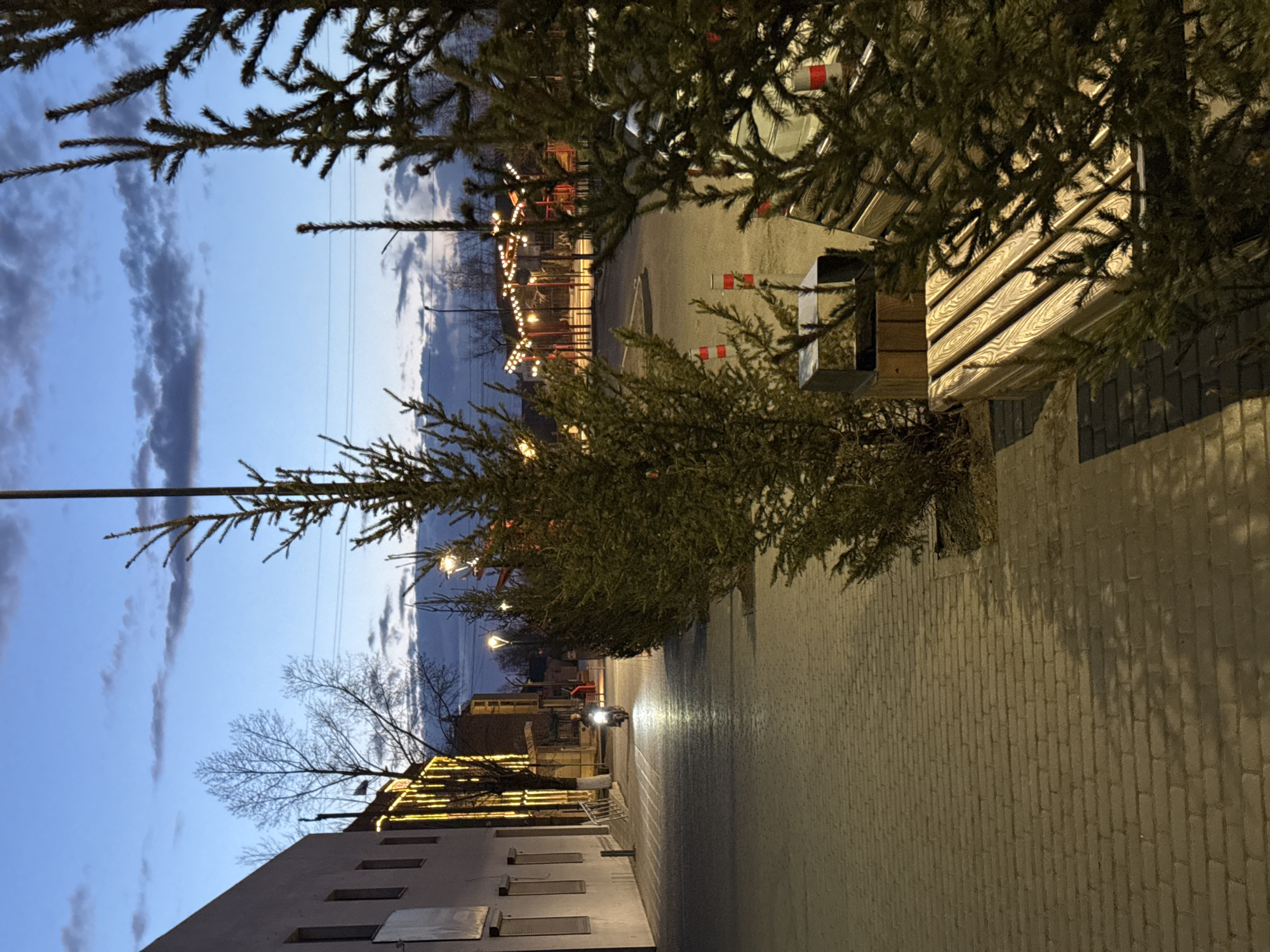 The image captures a street scene in Borzya, Russia at dusk. The sky is a mix of blue and gray clouds. The street, paved with bricks, is lined with buildings, some of which are adorned with strings of lights. Evergreen trees are present along the street, with branches partially obscuring the view at the top of the frame. A light pole stands tall on the left side of the street. A motor scooter with its headlight on is traveling down the street. A bench and trash receptacle are situated on the right side. Overhead power lines are visible against the sky.