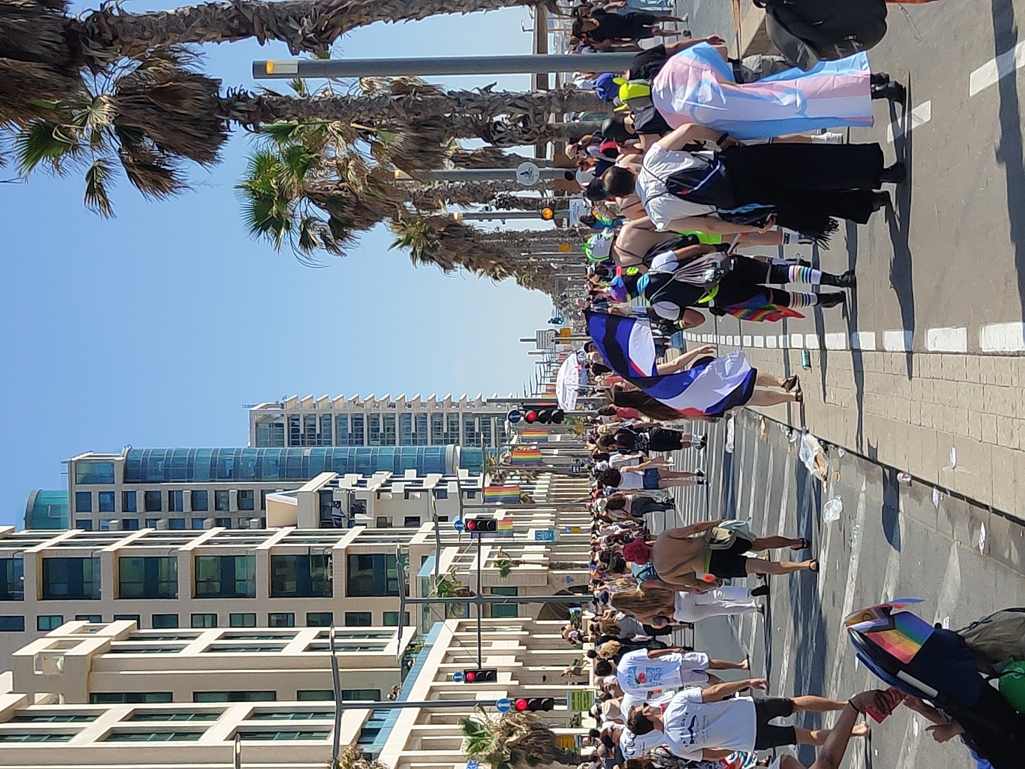 This is a full, eye-level, vertical shot of a Pride parade in Tel Aviv, Israel, on a sunny day. A large crowd of people are walking down a wide, paved street lined with modern, multi-story buildings with balconies and glass windows, and numerous palm trees. Some people are holding pride flags, including a large blue and white flag and a trans pride flag. Many participants are wearing casual clothing, such as t-shirts, shorts, and sandals, with some wearing elaborate outfits. The street is decorated with colorful banners, and there are traffic lights and streetlights visible. The sidewalk is lined with trash and recycling bins, indicating a public event. The sky is clear and blue, and the overall atmosphere appears festive and celebratory.