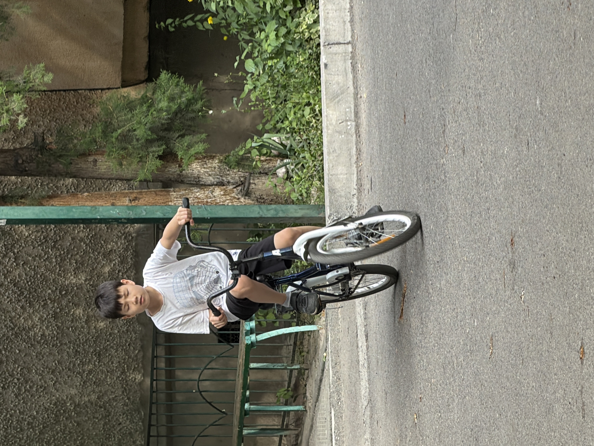 A young boy with dark hair rides a blue and white bicycle on an asphalt road. He is wearing a white t-shirt with a graphic print and black shorts. The boy is facing forward and appears to be focused on riding. The bicycle has a black handlebar and gray tires. Behind the boy, there is a green metal bench and a textured concrete wall. Lush green foliage and a tree are visible in the background. The scene is set outdoors in an urban environment.