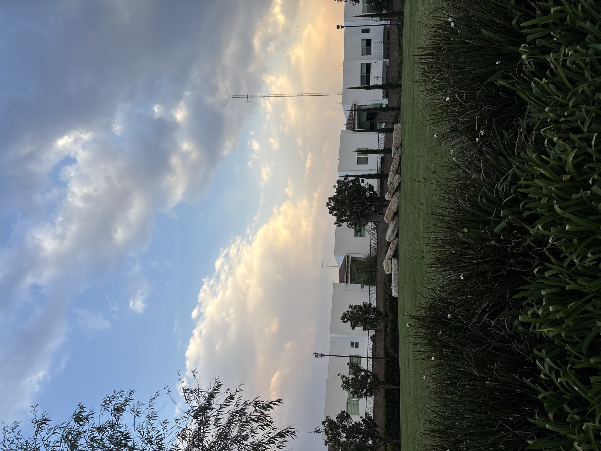 This image captures a serene, partly cloudy sky transitioning from a soft blue on the left to warm orange and yellow hues on the right, suggesting either sunrise or sunset over San Bernardino Tlaxcalancingo, Mexico. White and grey clouds are scattered across the sky, with some areas allowing sunlight to break through.
In the foreground, a vibrant green lawn spans the right side of the frame, bordered by dense, dark green bushes featuring small white flowers. On the far left, the dark leaves of a tree are visible against the sky.
The mid-ground features a row of modern, white, two-story residential buildings with flat roofs and dark-framed windows, indicating a contemporary architectural style. Decorative natural rocks are placed along the edge of the lawn in front of these houses. A tall, thin metal antenna or tower stands prominently behind the houses on the left, extending high into the sky. A street lamp is also visible between two of the houses.
The scene depicts a quiet residential area or a community green space, devoid of people or direct activity, lending a peaceful and calm atmosphere. There is no visible text in the image.
