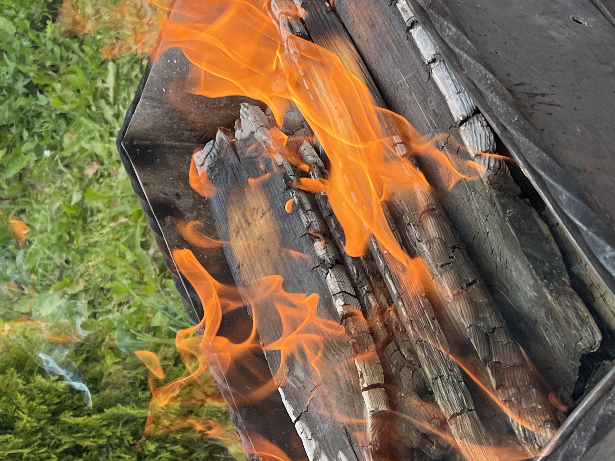 A close-up shot shows burning wood logs in a metal brazier. The logs are grey and cracked, with some appearing charred. Bright orange flames lick upwards, engulfing parts of the wood. In the background, out of focus, is lush green foliage, suggesting an outdoor setting. The image was captured in Il'ino, Russia. There are no people or animals visible in the frame.