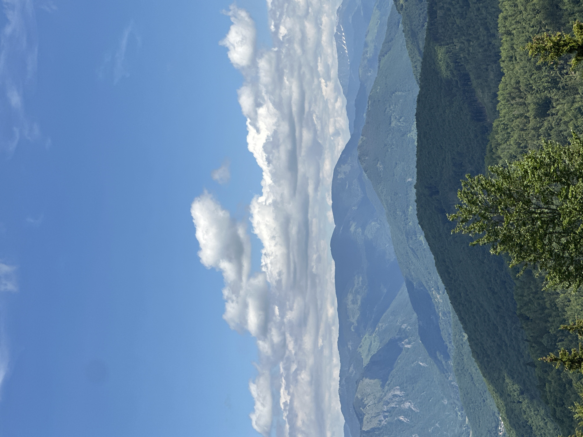 The image depicts a vast mountain landscape under a bright blue sky dotted with white, puffy clouds. The mountains are layered, with the closest ones covered in lush green forests and more distant peaks appearing in shades of blue and gray. Some of the far-off mountains show hints of snow on their summits. The foreground features the tops of pine trees. The scene appears to be a natural, scenic overlook.