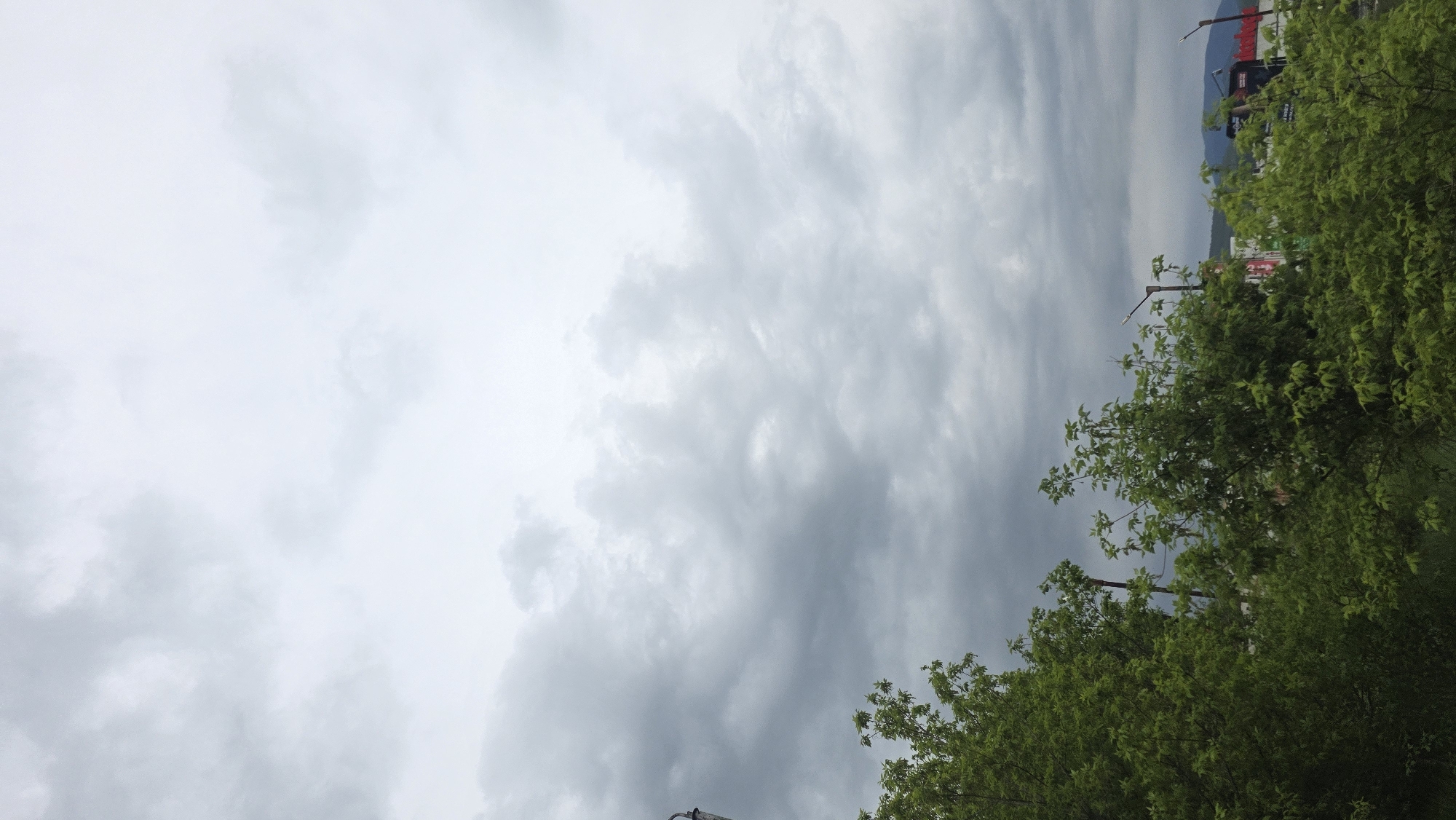 The image presents an outdoor scene dominated by a vast, cloudy sky and vibrant green foliage. The perspective looks slightly upwards, with the sky occupying the upper and left portions of the frame. The clouds are thick and varied, displaying shades from bright white to light and dark grey, indicating a heavily overcast daytime, likely suggesting impending rain or a generally muted day. Their formations range from soft, diffuse areas to more defined, heavier masses.
The lower and right sections of the image are filled with lush green trees and dense foliage. The leaves are a lively green, providing a contrast to the muted tones of the sky. Branches and clusters of leaves are clearly visible, forming a rich, natural foreground.
In the mid-right background, above the tree line, distant features are discernible. These include faint dark shapes that appear to be mountains or hills, blending with the cloud cover. Interspersed within this distant view, or peeking above the trees, are a few indistinct man-made structures, possibly utility poles or parts of buildings, suggesting a transition from natural landscape to a developed area.
No specific activity or individuals are present in the image. It captures a static natural landscape under heavy cloud cover during the day. There is no visible text. The scene is set in Blagoevgrad, Bulgaria.