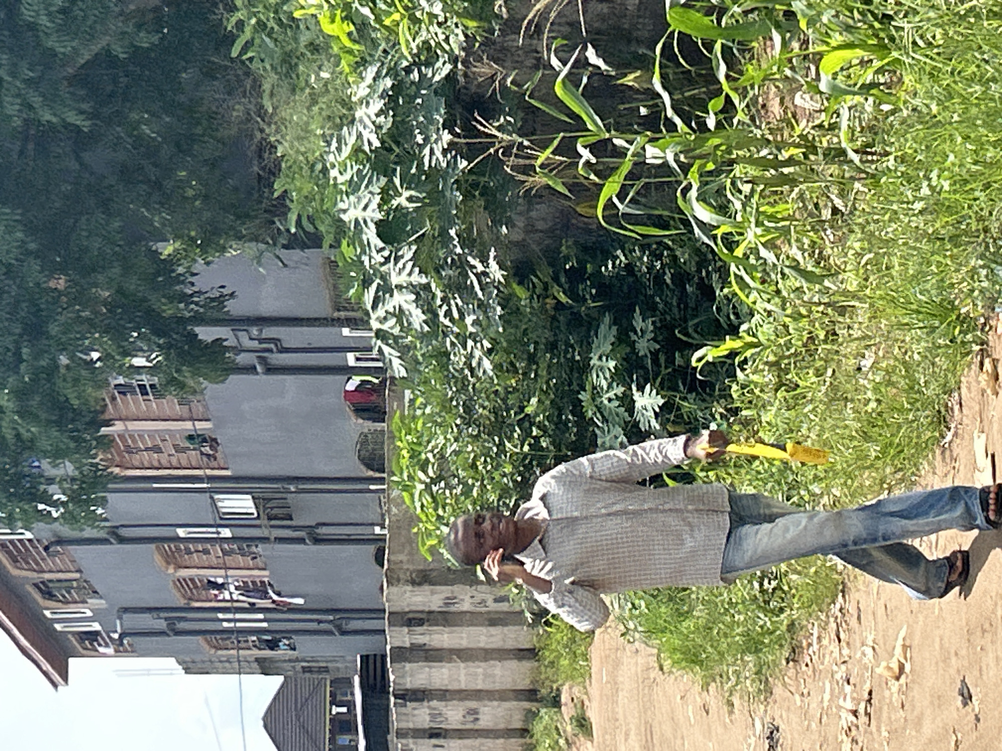 A man stands on a partially paved pathway, holding a yellow object, possibly a corn cob, near his head as if talking on a cell phone. He is wearing a light-colored, plaid, long-sleeved shirt and blue jeans, with sandals on his feet. Behind him, to his right, is dense green vegetation, including tall grass and corn stalks growing along the path. To his left is a multi-story, grey building with multiple windows and protruding air conditioning units. A concrete wall or staircase runs adjacent to the path. The location is recognizable as Ihiagwa, Nigeria, due to the style of buildings and vegetation, which are common in this area. The lighting suggests it's daytime, with bright sunlight.