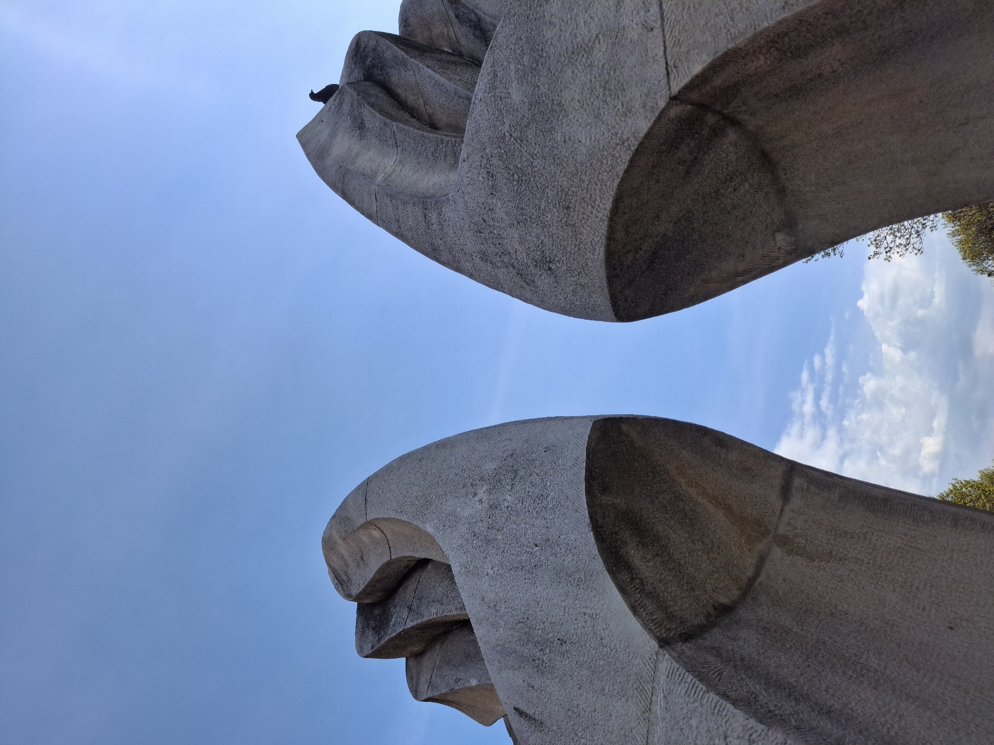 The image captures a low-angle view of two massive, curved stone structures set against a vibrant blue sky. The structures, likely abstract sculptures or architectural elements, are made of a light grey, rough-textured material, possibly concrete or a type of stone. Their surfaces show signs of weathering and fine detail.
The upper structure is prominent in the top left, displaying layered, wave-like curves that appear to be interlocking or flowing upwards. A small, dark bird, possibly a pigeon, is perched on the uppermost edge of this structure, providing a sense of scale. The inner curves and undersides of the stone elements are darker, suggesting deep shadows.
The lower structure is visible in the bottom right, mirroring the curved, sweeping lines of the upper one, though only a portion is shown. Its smooth, rounded forms create a strong contrast with the bright sky.
The sky is a dominant feature, a clear blue that fades slightly towards a lighter hue in the bottom right corner. A patch of fluffy white clouds is visible in the lower right, above the edge of the lower stone structure. A small glimpse of green tree foliage is also visible in the far bottom right, peeking from behind the lower structure. The overall lighting is bright, indicating it is daytime. There is no visible text.