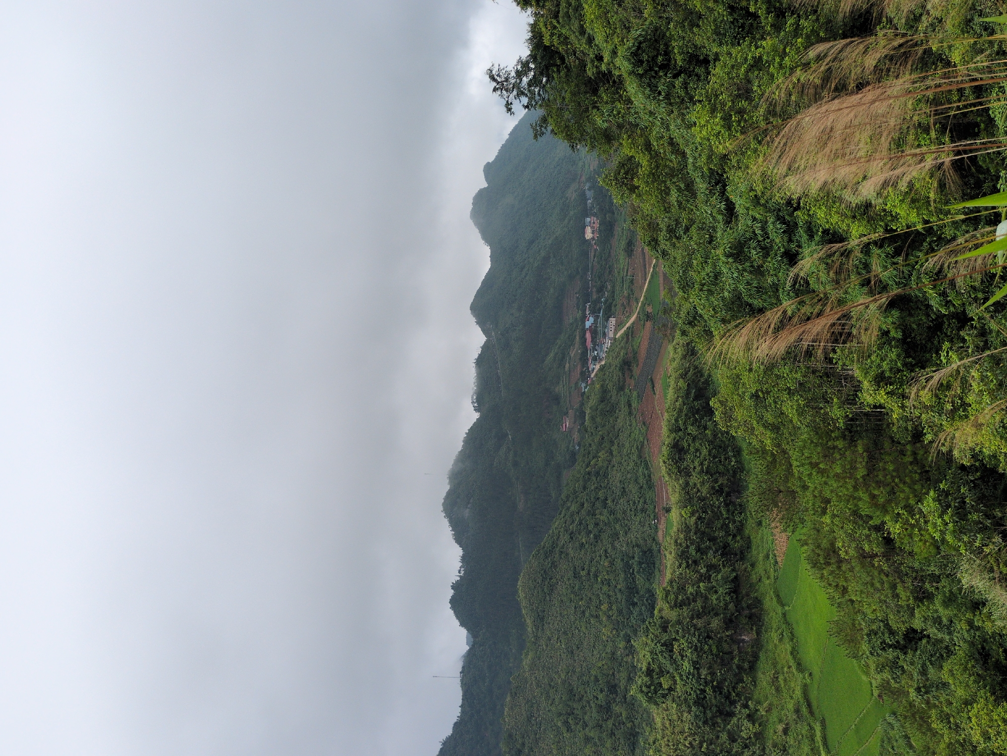This is a landscape photograph of a rural mountainous region in Quản Bạ Commune, Vietnam. The image is dominated by lush green vegetation covering rolling hills and mountains. In the foreground, tall, dry grasses are swaying in the wind. In the midground, terraced fields, some appearing as rice paddies, are visible, interspersed with patches of bare earth and some scattered buildings forming a small village. A winding dirt road can be seen leading through the village. In the background, more mountains are shrouded in a heavy, overcast sky, with some peaks obscured by mist. Two telecommunication towers are visible on the distant hills. The overall scene depicts a tranquil, natural environment under a cloudy sky.