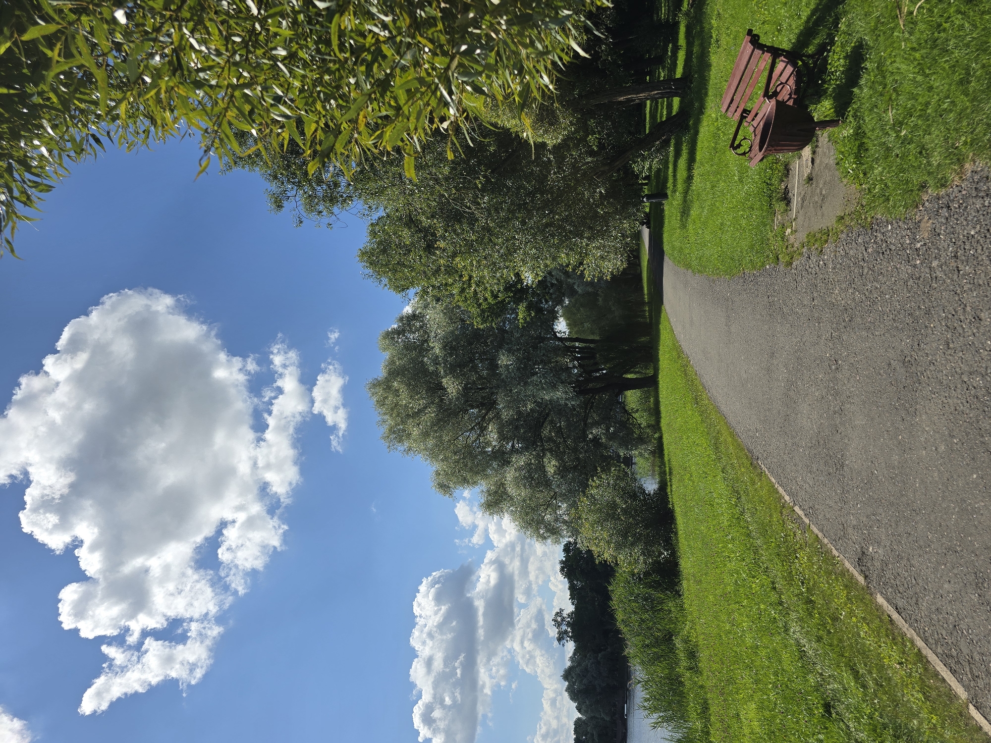 A paved pathway curves through a park on a sunny day. The pathway is flanked by vibrant green grass. On the right side of the pathway, a reddish-brown park bench with a matching trash receptacle sits on a concrete pad. Various trees with lush green foliage are visible throughout the park, with some closer to the pathway and others forming a dense line in the distance. Beyond the trees on the left, a body of water is visible, likely a lake or river, with reeds growing along its edge. The sky above is a clear blue, dotted with fluffy white clouds, one large cloud dominating the upper left portion of the image. The scene appears peaceful and well-maintained, characteristic of a public park. The location is identified as being in the city of Niasvizh, Belarus.