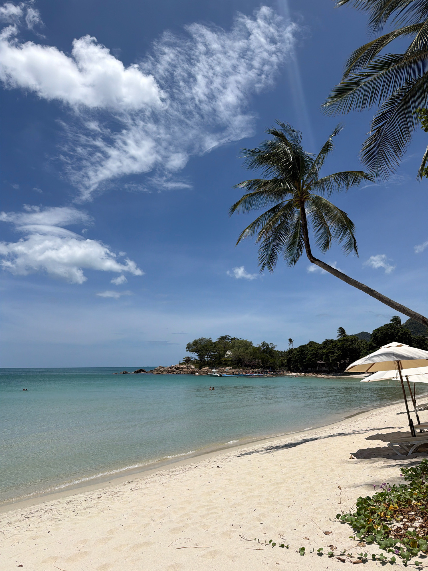 A view of a tropical beach in Ko Samui District, Thailand, shows a white sand beach with clear turquoise water. Two beach umbrellas stand on the sand, casting shadows. In the foreground, green vines grow along the edge of the sand. A palm tree bends over the beach, its fronds casting shadows. In the distance, a rocky outcrop is covered with trees. Several people are visible in the water, swimming or wading. The sky is blue with scattered white clouds. The scene depicts a peaceful and idyllic beach setting.