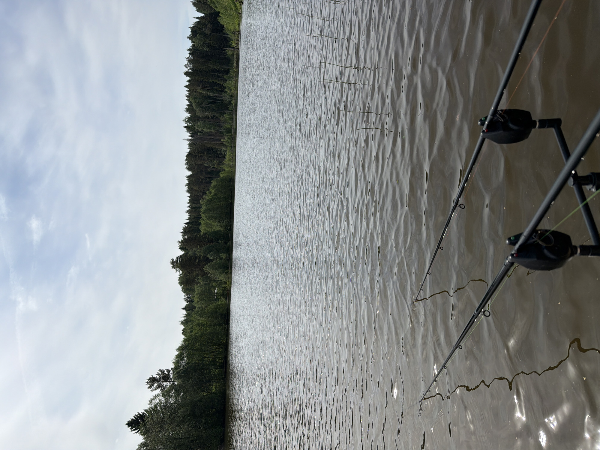 The image depicts a body of water, likely a lake or river, with a treeline visible on the opposite bank. Two fishing rods are positioned in the foreground, extending into the water. The scene is outdoors, under a cloudy sky. The location is Прикамский, Russia.