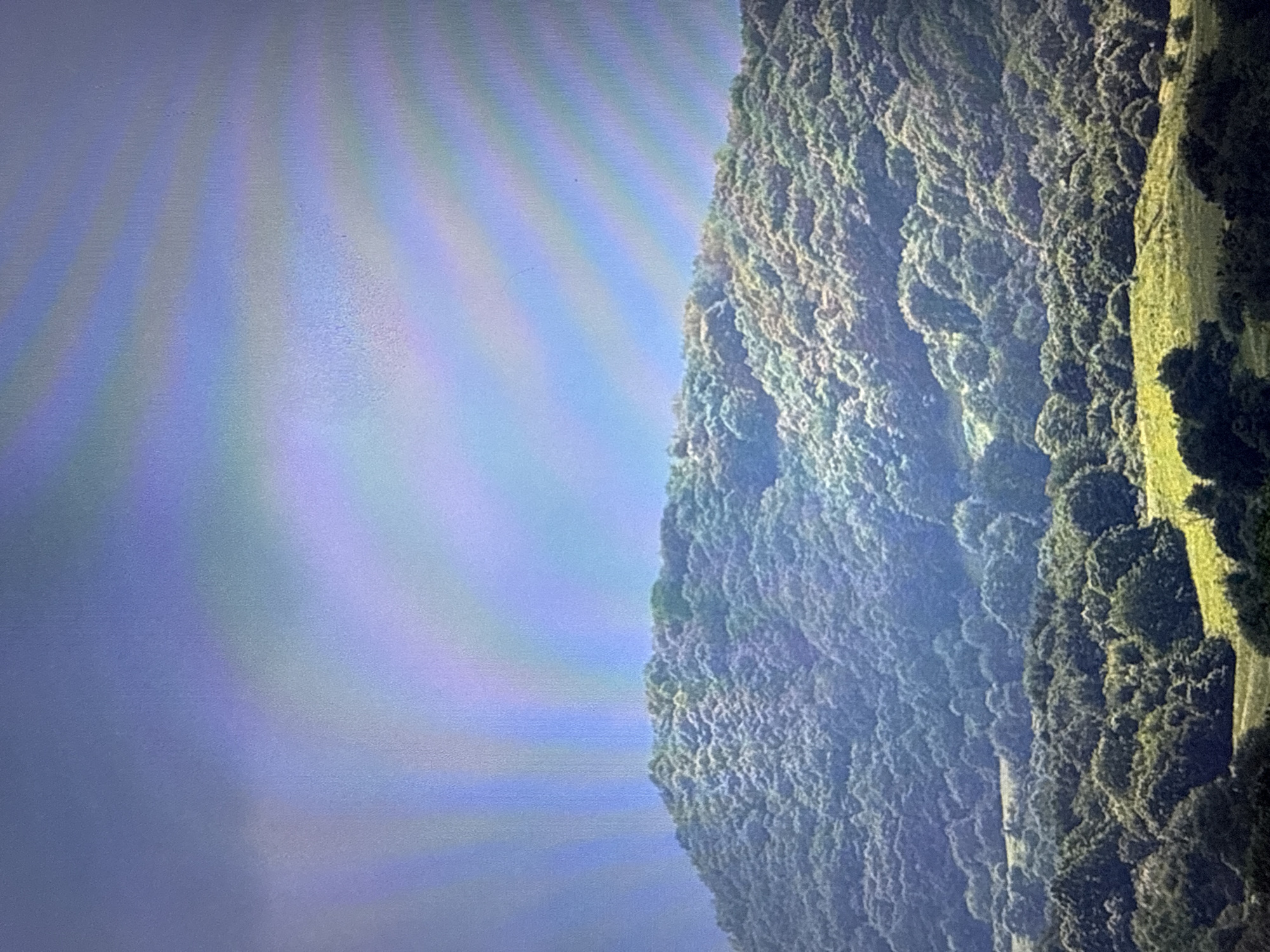 The media file is a photograph taken from a high vantage point, looking down at a densely wooded hillside. The hillside is covered in trees with a rough, textured appearance, and appears to be on a steep incline. To the right of the wooded area, a strip of bright green grass or a field is visible, suggesting a cleared area adjacent to the forest.
The sky occupies the left side of the image and is a gradient of blues and purples, with visible bands of color that suggest sunlight or atmospheric light refractions. The lighting on the hillside indicates it is daytime, with the sun casting shadows that highlight the uneven terrain and the density of the foliage. The overall impression is of a natural landscape, possibly a mountainous or hilly region. There are no people or man-made objects clearly identifiable in the image. The scene evokes a sense of natural beauty and tranquility.