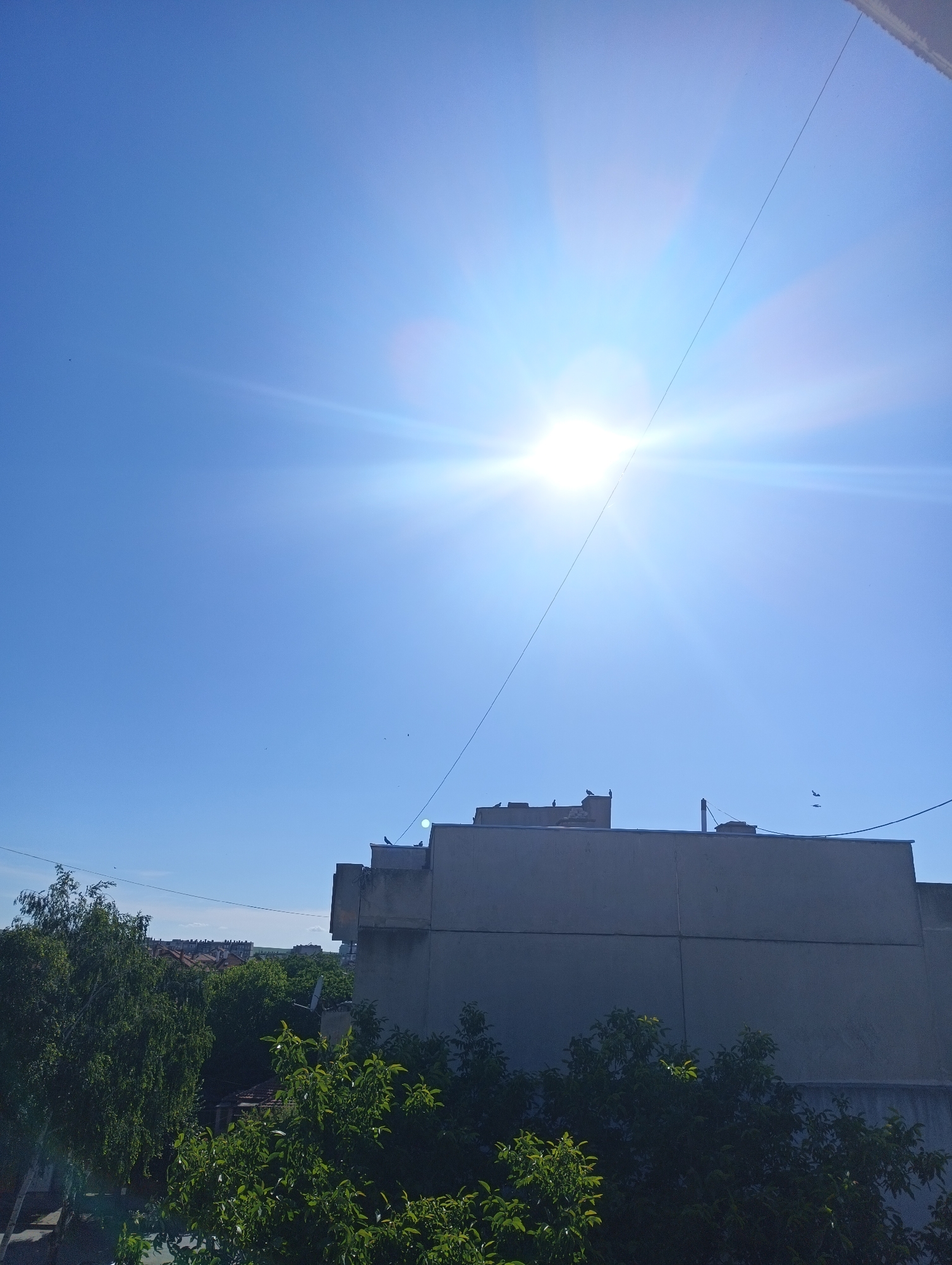 This is a photograph taken in Karnobat, Bulgaria. The image depicts a bright, sunny day with a clear blue sky dominating the upper portion. The sun is very prominent, appearing as a brilliant white orb with strong light flares and rays radiating outwards, indicating it is high in the sky, likely mid-morning or early afternoon. A thin, dark wire stretches diagonally across the sky from the upper right corner towards the middle left.
In the lower part of the image, the top of a light-colored, modern building is visible. Several pigeons are perched on the flat roof of this building, with a few more appearing in flight against the sky. Below the building, lush green trees and foliage fill the foreground and extend into the background, obscuring much of the lower landscape. In the distance, behind the trees, rows of residential buildings with red-tiled roofs can be seen, suggesting an urban or suburban setting. The overall impression is one of a warm, clear day in a residential area. No text is visible in the image.