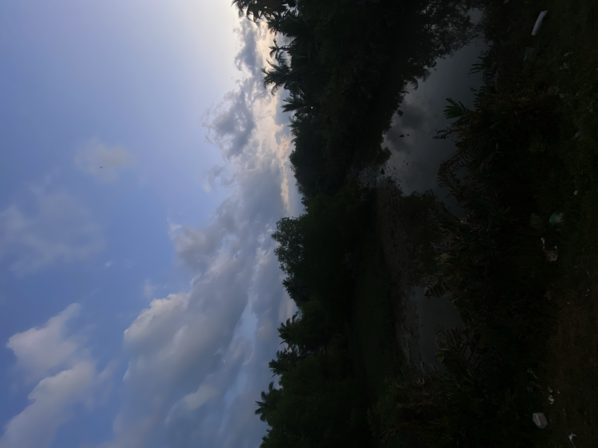 The image presents a view of a landscape scene in Keudeublang, Indonesia. The sky, taking up the left portion of the image, is filled with a mix of light blue sky and white and grey clouds, suggesting either early morning or late afternoon lighting conditions.
The right portion of the image features lush vegetation, including trees (some of which are palm trees), shrubs, and grass. The density of the vegetation obscures clear details. There is also a body of water, possibly a pond or stream, which reflects the sky and surrounding trees.
The image appears to be taken from ground level, and there is no evidence of human presence or structures. The overall impression is one of a natural, rural setting.