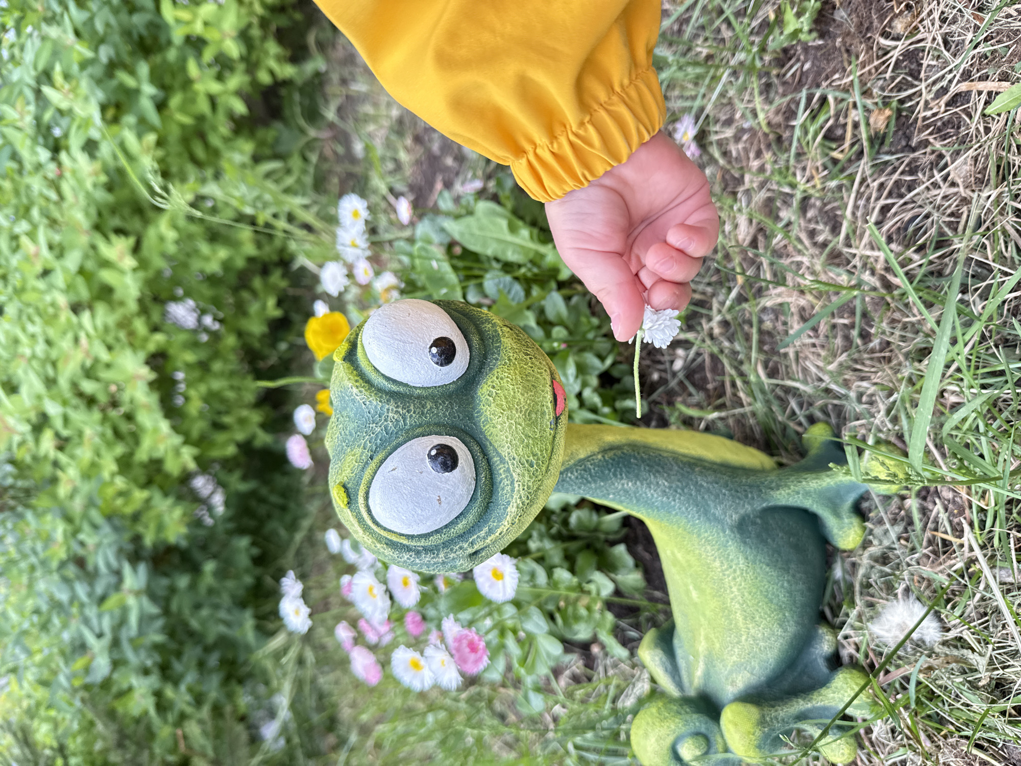 A child in a yellow jacket is holding a small white flower over a green garden ornament in the shape of a frog. The frog ornament is located in an area with grass, daisies, and other greenery. The background appears to be a garden. The location is unknown.