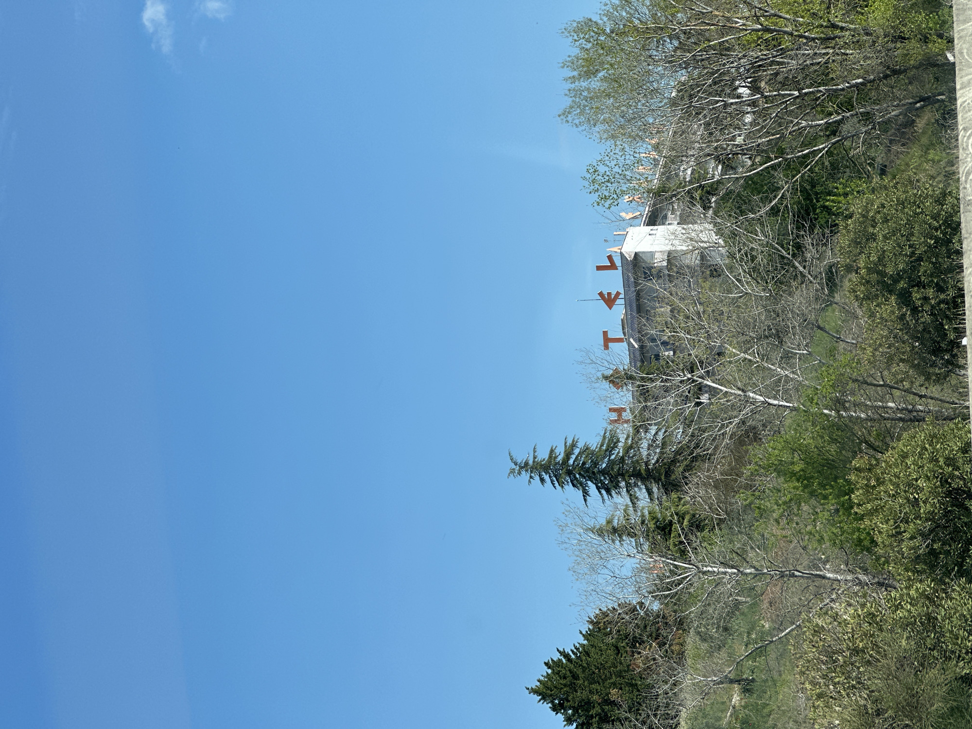 The image depicts a building in Lefkonas, Greece, viewed from a low angle. The sky is clear and blue. The building is white with a flat roof, and several orange-colored lettered signs are visible above the roofline. Trees with sparse foliage surround the building. A tall conifer tree stands out among the other trees. A variety of bushes and foliage fill the lower right portion of the image.