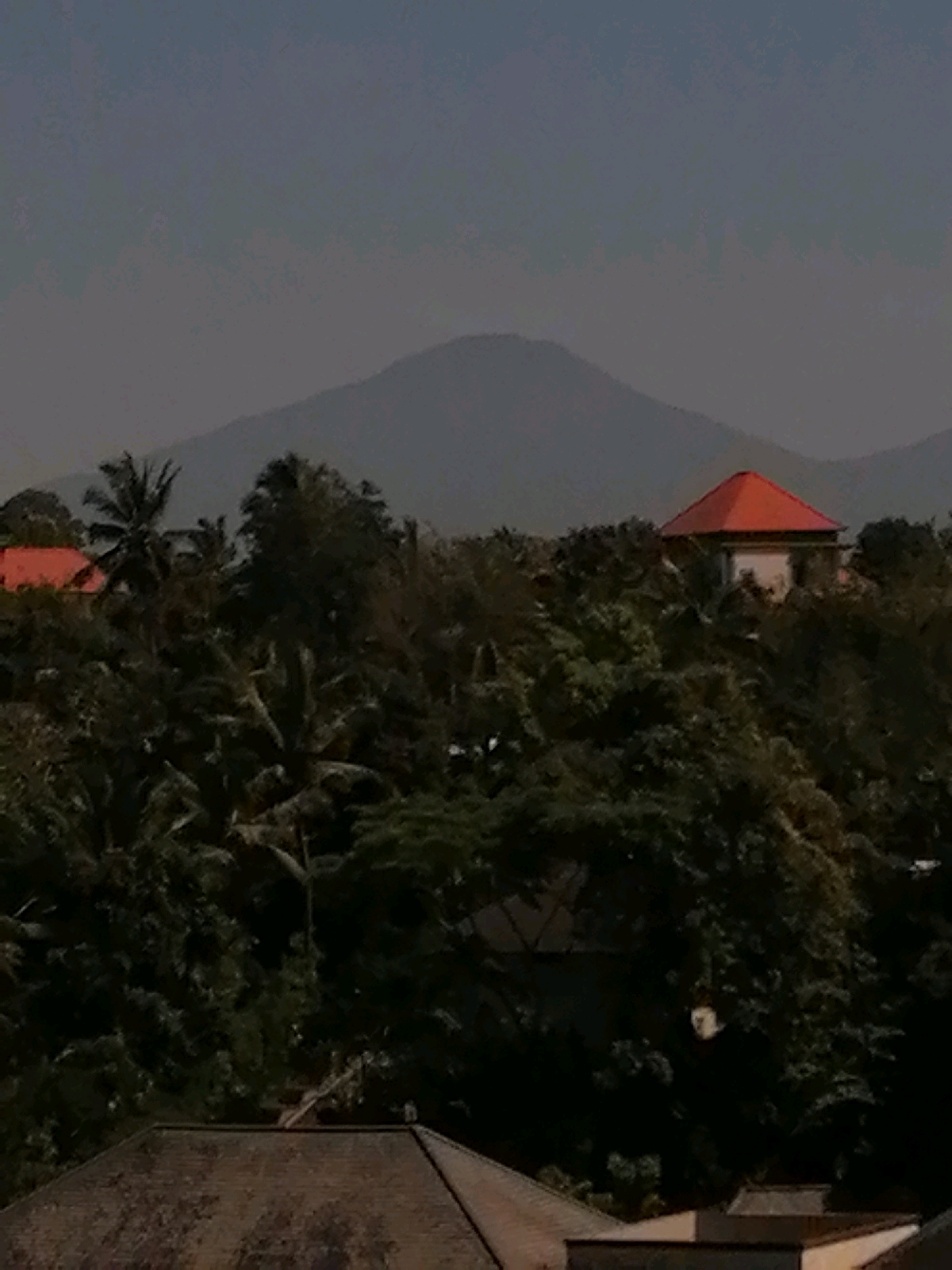 A distant, hazy view of a lush green landscape is captured. In the foreground, a dark, textured roof occupies the bottom portion of the frame. Behind this, a dense canopy of dark green foliage dominates the mid-ground, punctuated by a bright red-tiled, pyramidal roof of a building peeking through the trees. Further back, palm trees with their distinctive fronds are visible amongst the general greenery. The background is dominated by the silhouette of a large, gently sloping mountain against a pale, hazy sky. The overall impression is of a tropical or subtropical environment, possibly in or near Ubud District, Indonesia, given the vegetation and mountainous backdrop. There are no people or visible actions depicted in the image.