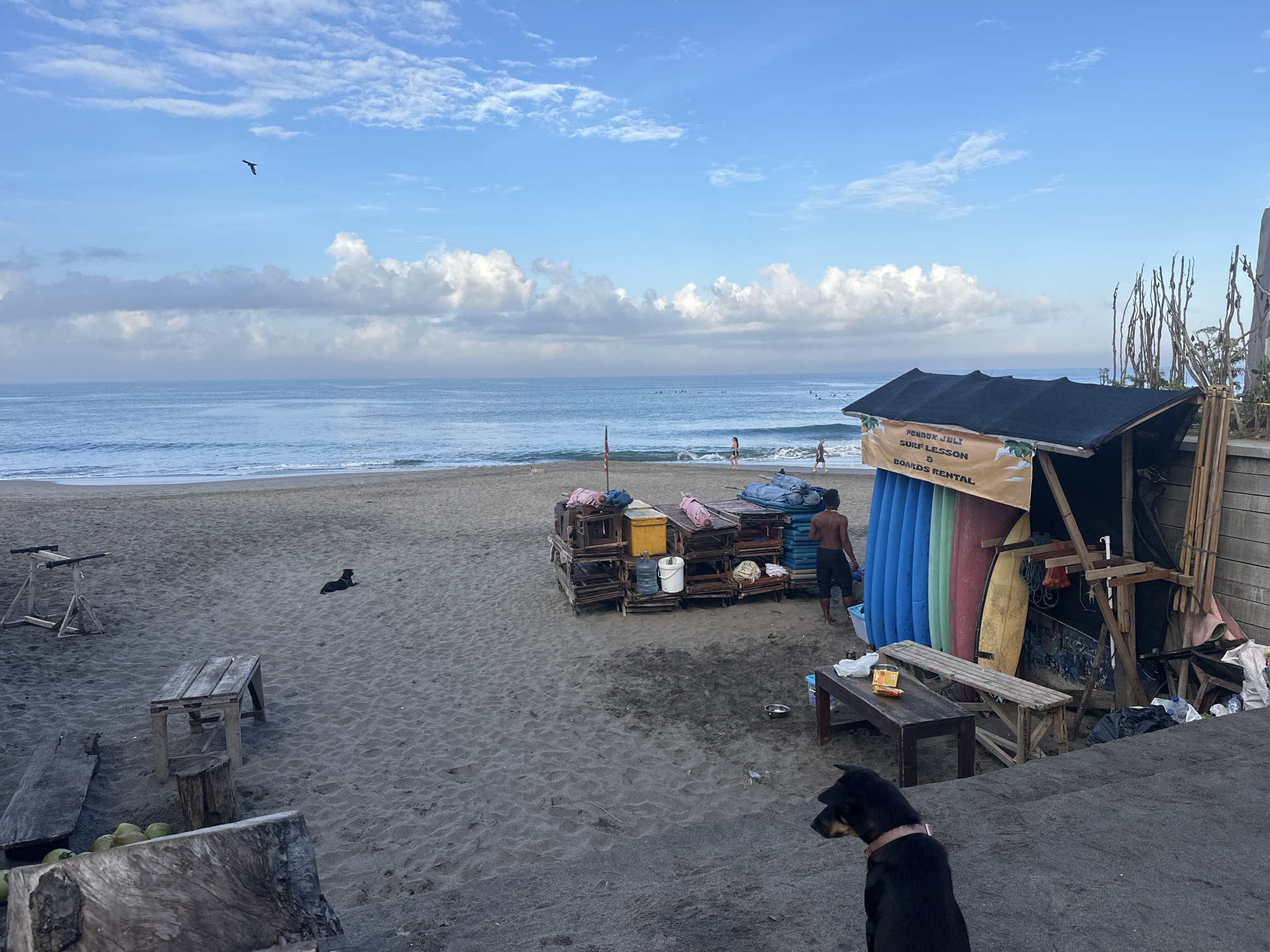 The image depicts a beach scene in North Kuta, Indonesia, under a partly cloudy sky. In the foreground, a black dog with a pink collar is looking to the right. Behind the dog, a wooden structure made of logs is visible, with a few coconuts at its base. Further back on the sandy beach, a weathered wooden table and bench are present, along with a wooden stool. To the left, a simple wooden structure with two upright posts and a horizontal bar is set up on the sand. A black dog is lying down on the sand further in the distance.
In the middle ground, there is a small, makeshift stall constructed from wood and covered with a dark tarp. Various items are stacked on shelves, including containers, bags, and what appear to be surfboards leaning against the structure, some of which are brightly colored (blue, green, yellow, red). A sign on the stall reads "PONDOK JULI SURF LESSON & BOARDS RENTAL". A shirtless man wearing black pants is standing near the stall, looking towards the right. In the background, the ocean stretches out to the horizon, with small waves breaking on the shore. Several surfers are visible in the water. A bird is flying in the upper left portion of the sky.