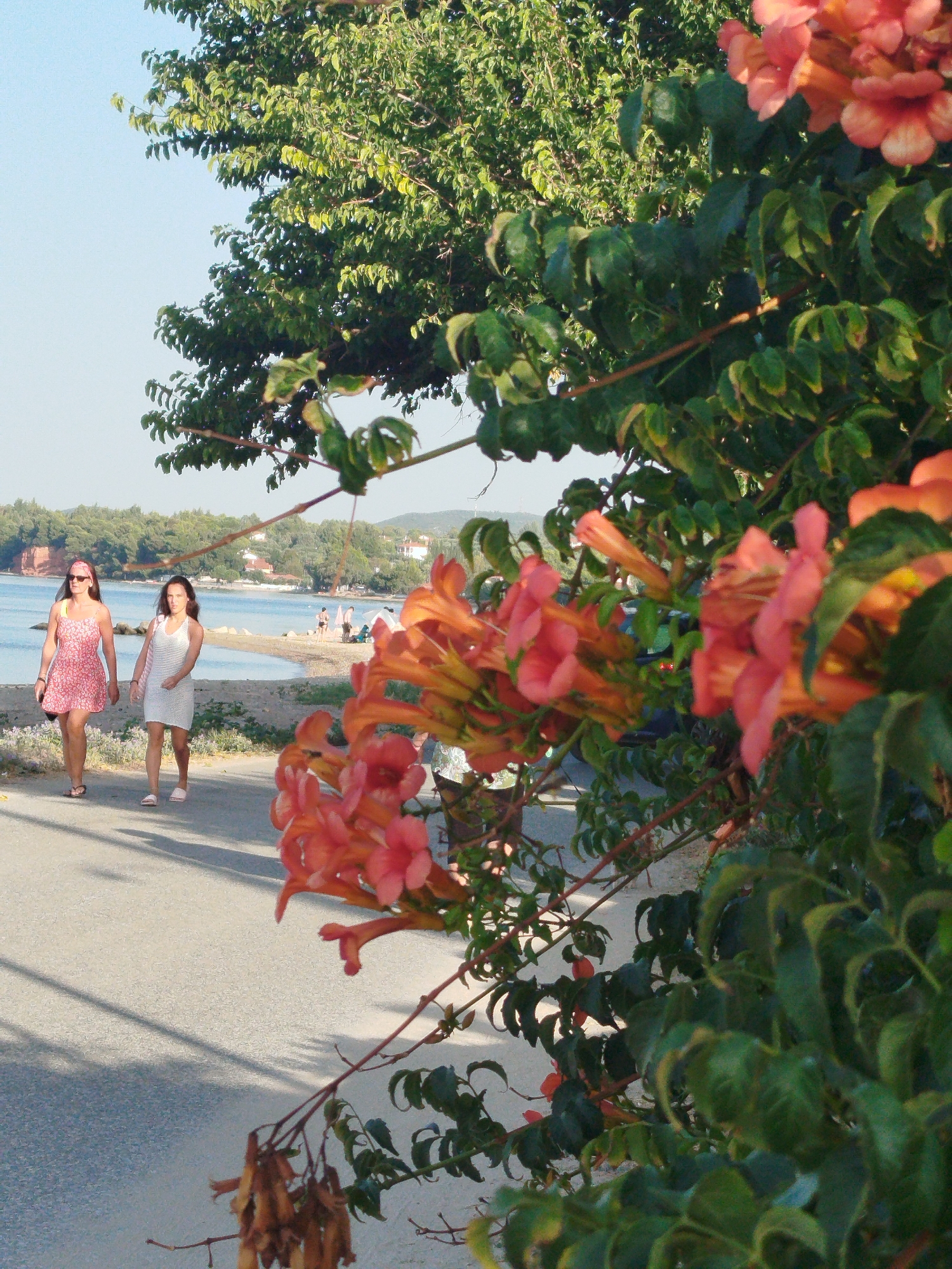 Two women walk along a paved path adjacent to a body of water and a sandy beach. The woman on the left wears a pink and white patterned dress and a headband. The woman on the right wears a white dress. In the foreground, there are bright orange trumpet-shaped flowers and green foliage. In the background, there are trees, buildings, and a clear blue sky. The scene appears to be a coastal area in Sithonia, Greece, likely during daylight hours with good weather.