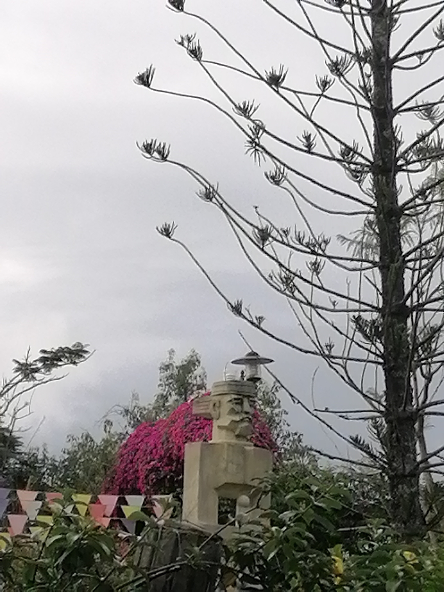 The image presents an outdoor scene, likely a garden or park in Lâm Viên - Đà Lạt, Vietnam, under an overcast sky. A tall conifer tree with a dark, textured trunk and slender, largely bare branches dominates the right side of the frame, extending upwards and diagonally across the sky. The tips of its branches feature distinctive, spiky clusters.
In the mid-ground, a light-colored, square-shaped stone sculpture or bust is visible. It features carved, stylized facial features—eyes, a nose, and a mouth—lending it a somewhat primitive or ancient appearance. A modern, dark-colored lamp with a flat, circular shade is mounted on top of the sculpture.
Behind the sculpture and in the mid-ground, a large, dense bush adorned with vibrant, fuchsia-pink flowers (likely Bougainvillea) provides a striking splash of color against the subdued grey sky. Various green plants and foliage fill the foreground and parts of the mid-ground. In the lower-left quadrant, a string of colorful triangular pennant flags in pastel shades of white, yellow, pink, and light blue are draped across the foreground greenery, suggesting a decorative or festive atmosphere. The sky is uniformly light grey, indicating a cloudy or overcast day. No visible text is present in the image.