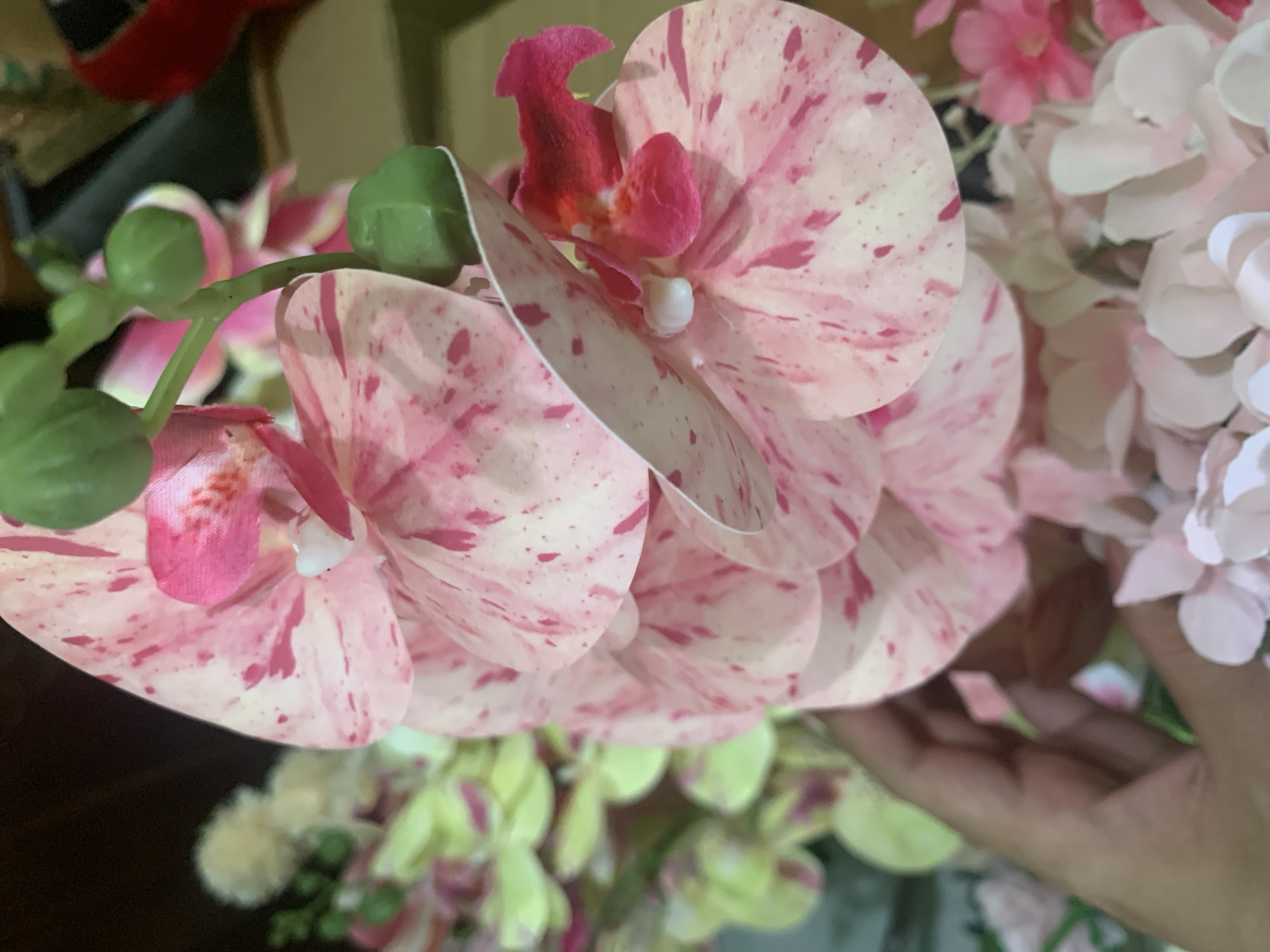 The image shows a close-up of a bouquet of artificial orchids. The main orchid in focus is a large, pink and white speckled bloom with green buds emerging from its stem. In the background, other artificial flowers are visible, some in shades of pale yellow and pink. A human hand is holding the stem of the orchid. The lighting suggests an indoor setting. The image is taken from a high angle, looking down at the flowers. There is no discernible context of Kuala Pembuang, Indonesia within the visual information provided.