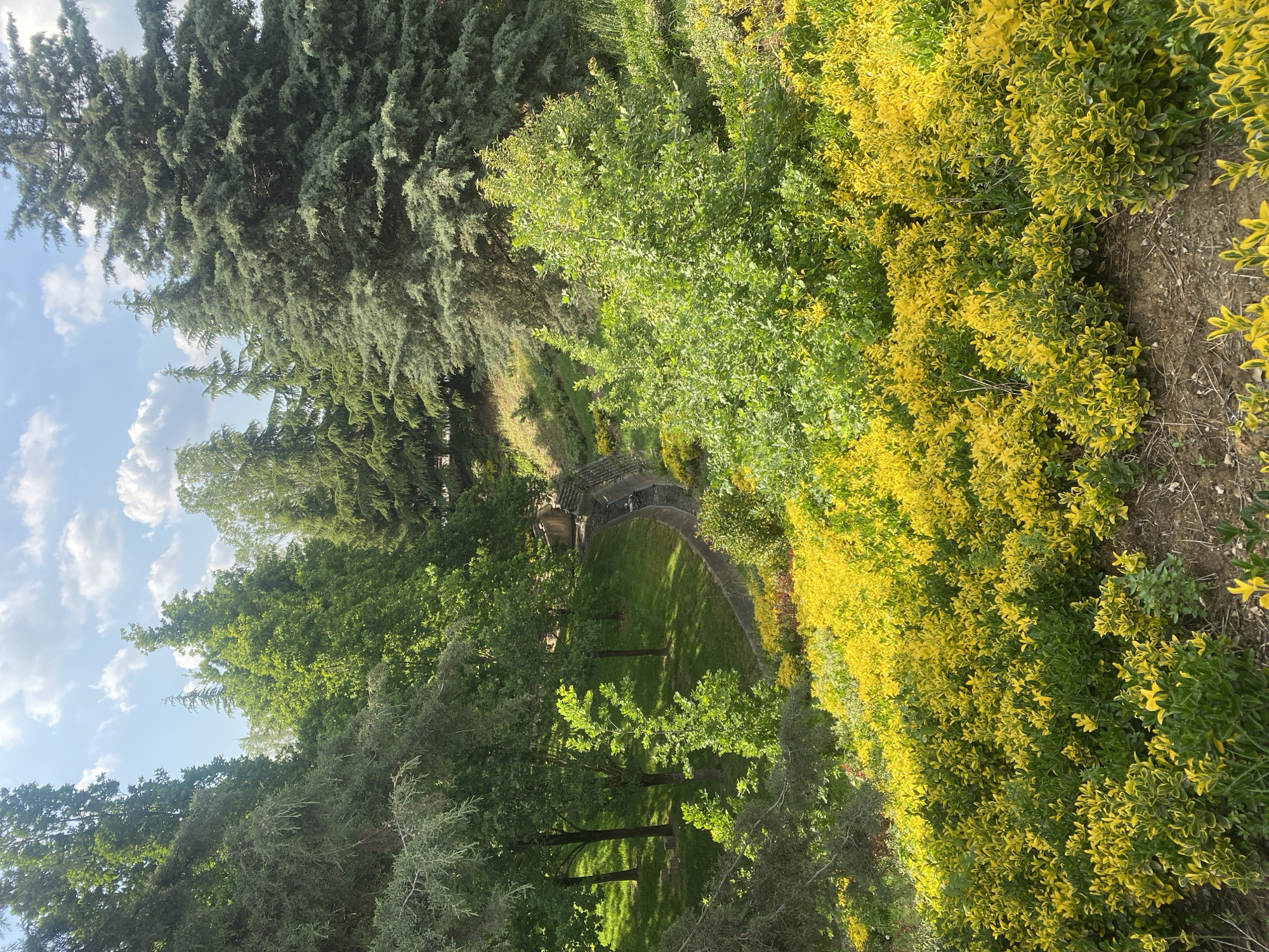 The image depicts a park or garden landscape, possibly in Çekmeköy, Turkey. The scene includes a variety of vegetation: tall coniferous trees, deciduous trees with green foliage, and a dense row of bushes with yellow-green leaves. A paved pathway winds through the scene, leading towards a stone bridge-like structure. Sunlight filters through the trees, casting shadows on the grass. The sky is visible through the tree canopy, showing a few white clouds. The image captures a tranquil, natural environment within an urban context.