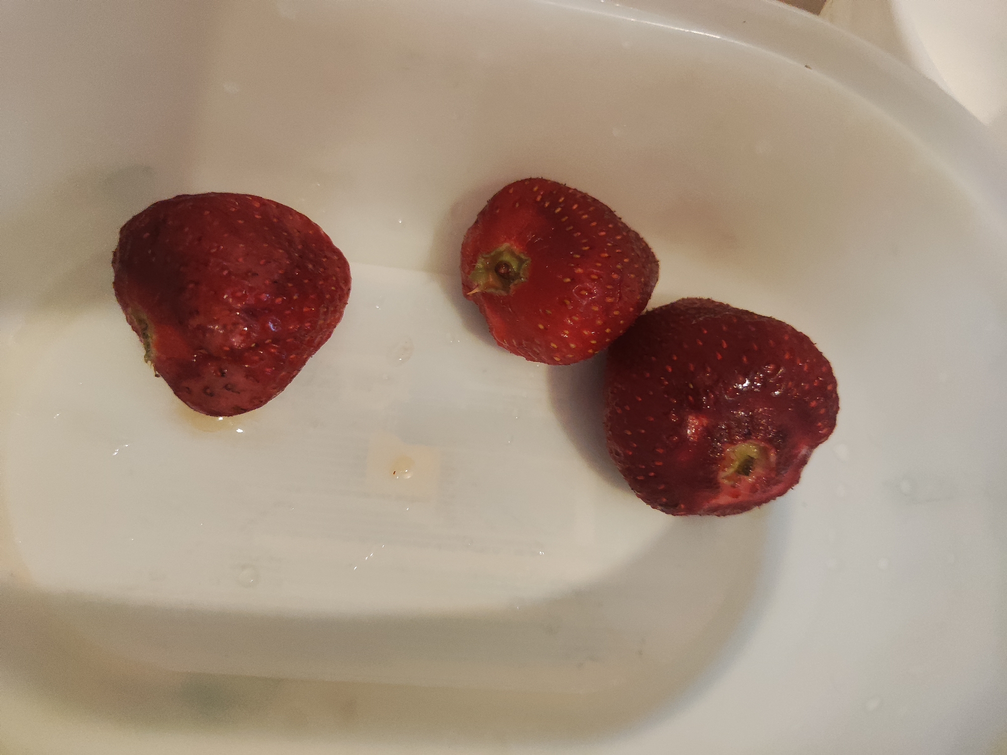 A close-up, overhead shot shows three ripe, red strawberries in a white plastic basin. The strawberries are glistening with moisture, indicating they may have been recently washed. One strawberry is positioned on the left, with its stem end pointing down and slightly to the left. To its right and slightly higher is another strawberry, its stem end clearly visible and pointing upwards. The third strawberry is located in the lower right quadrant of the image, with its stem end also facing upwards. The basin is clean and white, with smooth, curved sides. The lighting appears to be soft and diffused, casting subtle shadows on the strawberries and the basin. There is no visible indication of the location being in Moscow, Russia, or any other specific urban environment.