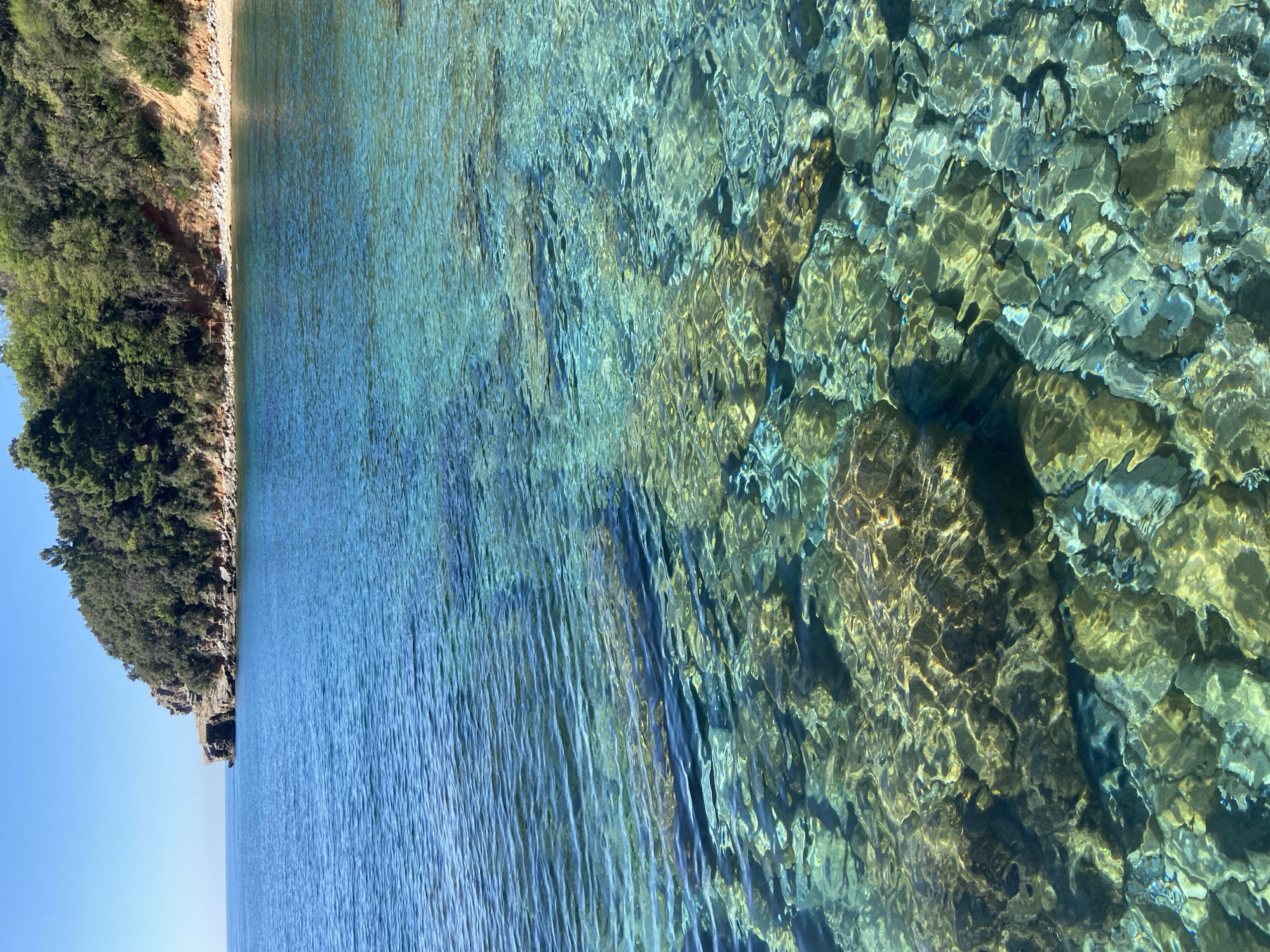 The image depicts a coastline in Budva, Montenegro, characterized by a rocky shoreline covered in dense green vegetation on the left side of the frame. The vegetation transitions to a sandy beach near the water's edge. The right side of the image shows the clear, turquoise water of the sea, with visible rocky formations beneath the surface closer to the shoreline. The water's clarity allows one to see the seabed clearly in the shallow areas. The sky is visible as a small portion of blue at the bottom left corner of the frame. No people or objects are visible in the image other than the natural environment.
