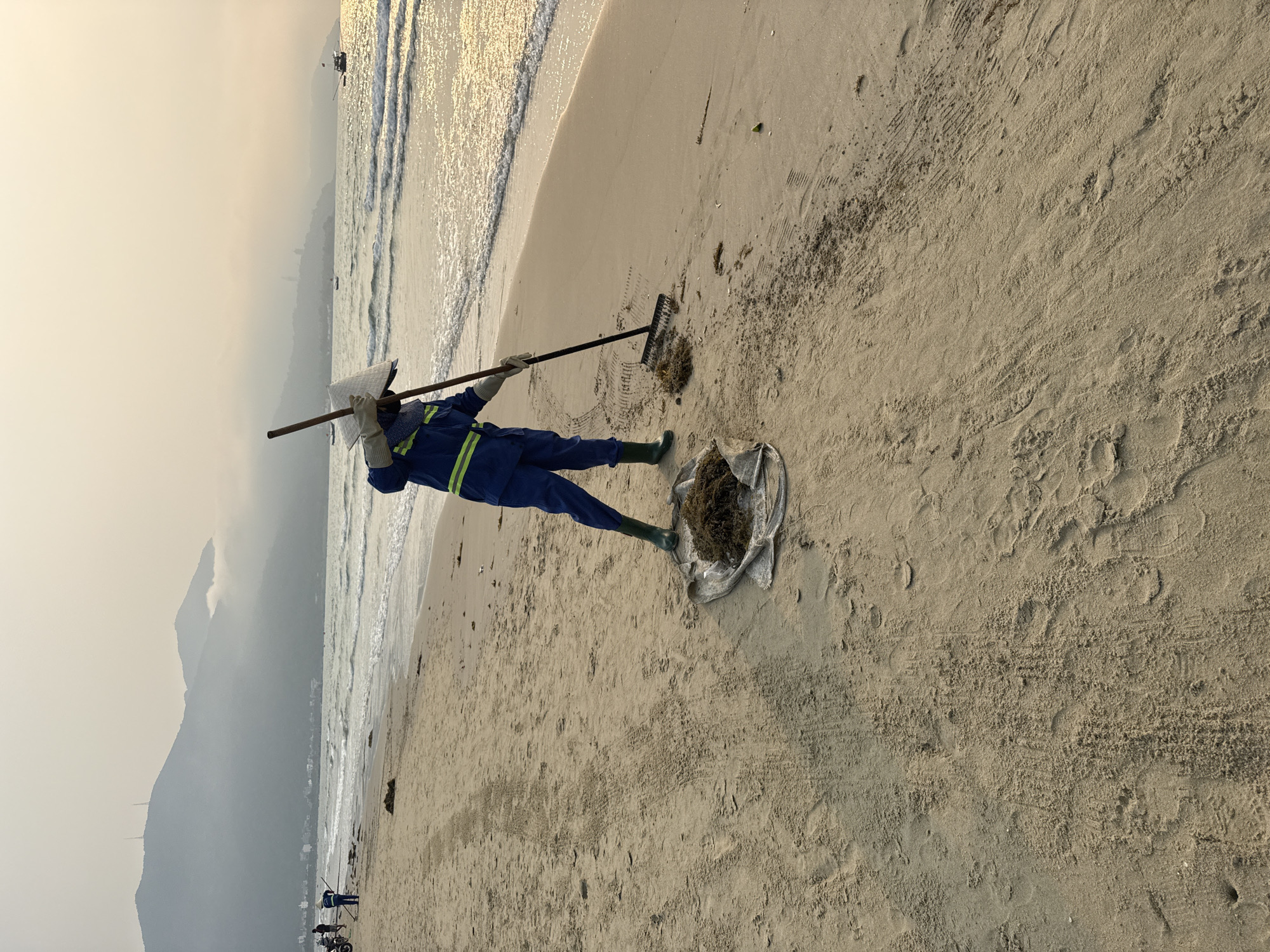 A person wearing blue work clothes, green boots, and a conical hat is cleaning seaweed from a sandy beach. They are using a rake to gather the seaweed and placing it into a white bag. In the background, the ocean meets the shore with small waves, and mountains are visible in the hazy distance. This scene is likely taking place in Đà Nẵng, Vietnam, based on the beach and mountain characteristics.