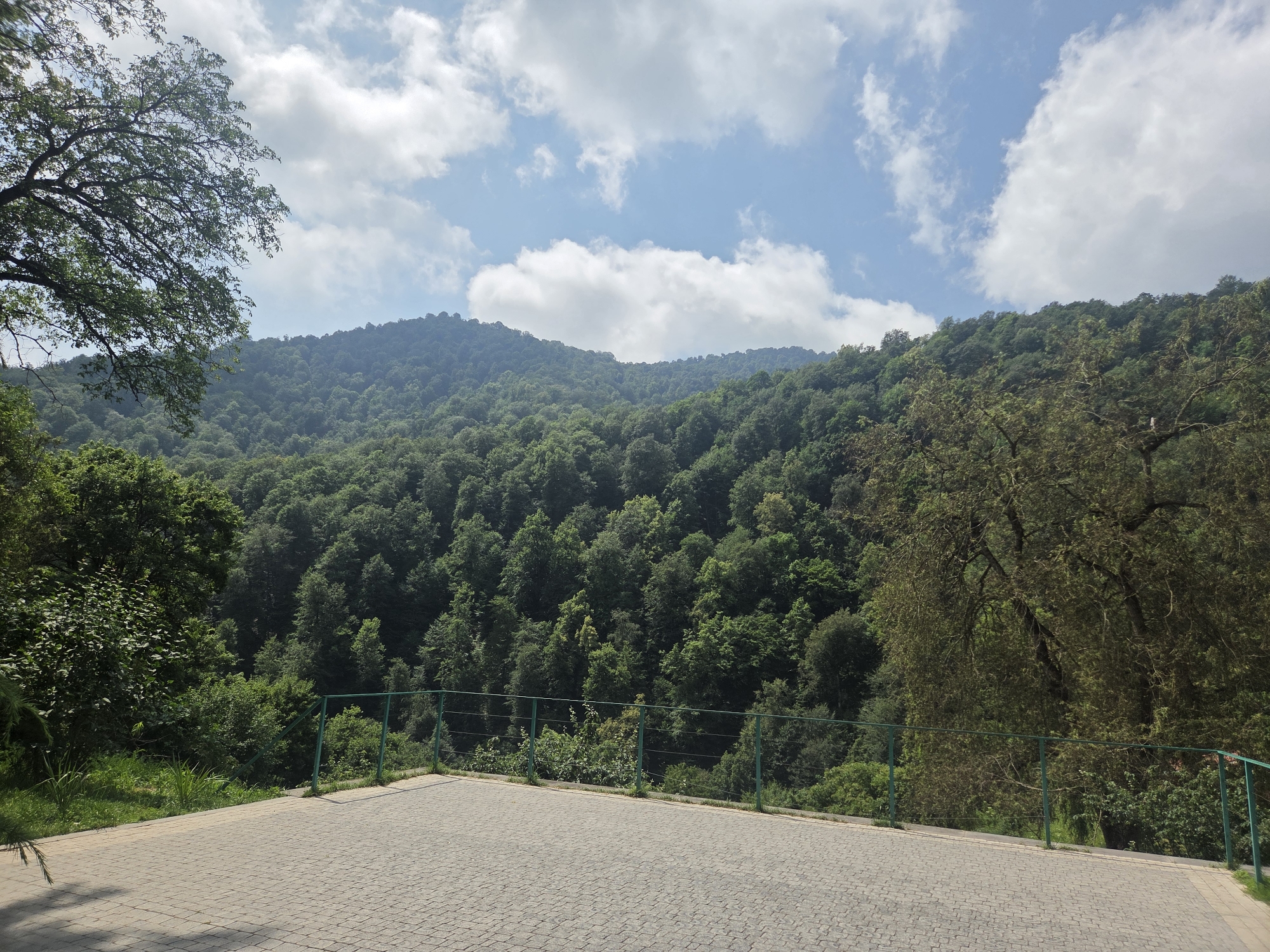 The image depicts a lush, forested mountainside under a bright, partly cloudy sky. In the foreground, a paved area with interlocking grey stones serves as a viewing platform. A green metal fence with wire railings separates the platform from the slope below, which is covered in dense, vibrant green trees and foliage. The trees extend up the mountainside, creating a thick canopy that obscures the ground. The sky is a clear blue with scattered white cumulus clouds. The scene appears to be a scenic overlook, likely in a natural setting within or near Teghut, Armenia, given the mountainous terrain and dense forestation characteristic of the region. No people or animals are visible in the image.
