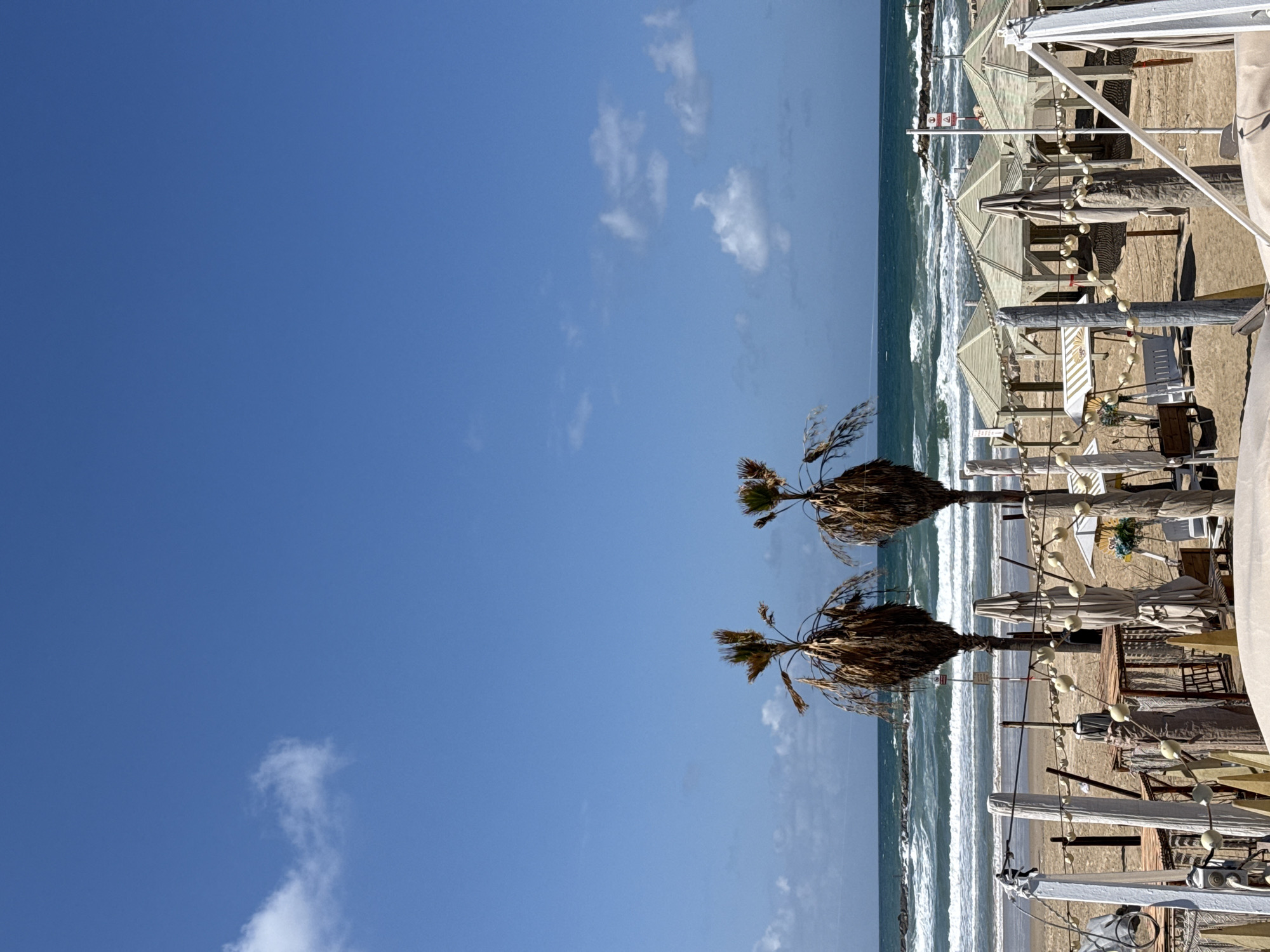 The image captures a beach scene in Tel-Aviv, Israel. The sky is a clear blue with scattered clouds. The beach is lined with palm trees. The ocean is a turquoise color with white waves. The beach is occupied by beach umbrellas, chairs, and tables. The image does not show any people.