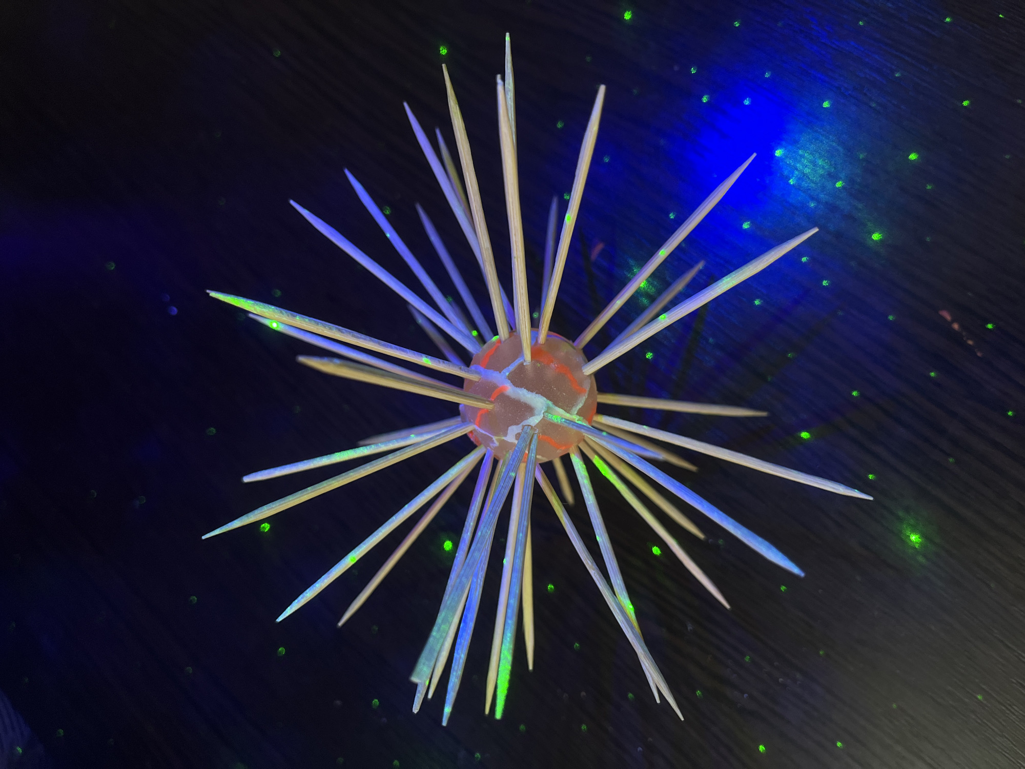 A homemade model of a coronavirus sits on a black surface illuminated by blue and green lights. The model consists of a sphere with many toothpicks protruding from it, resembling the virus's spikes. The location is unknown, and there is no evidence to suggest it is Krasnodar, Russia. No people, subjects, actions, or interactions are visible in the image.
