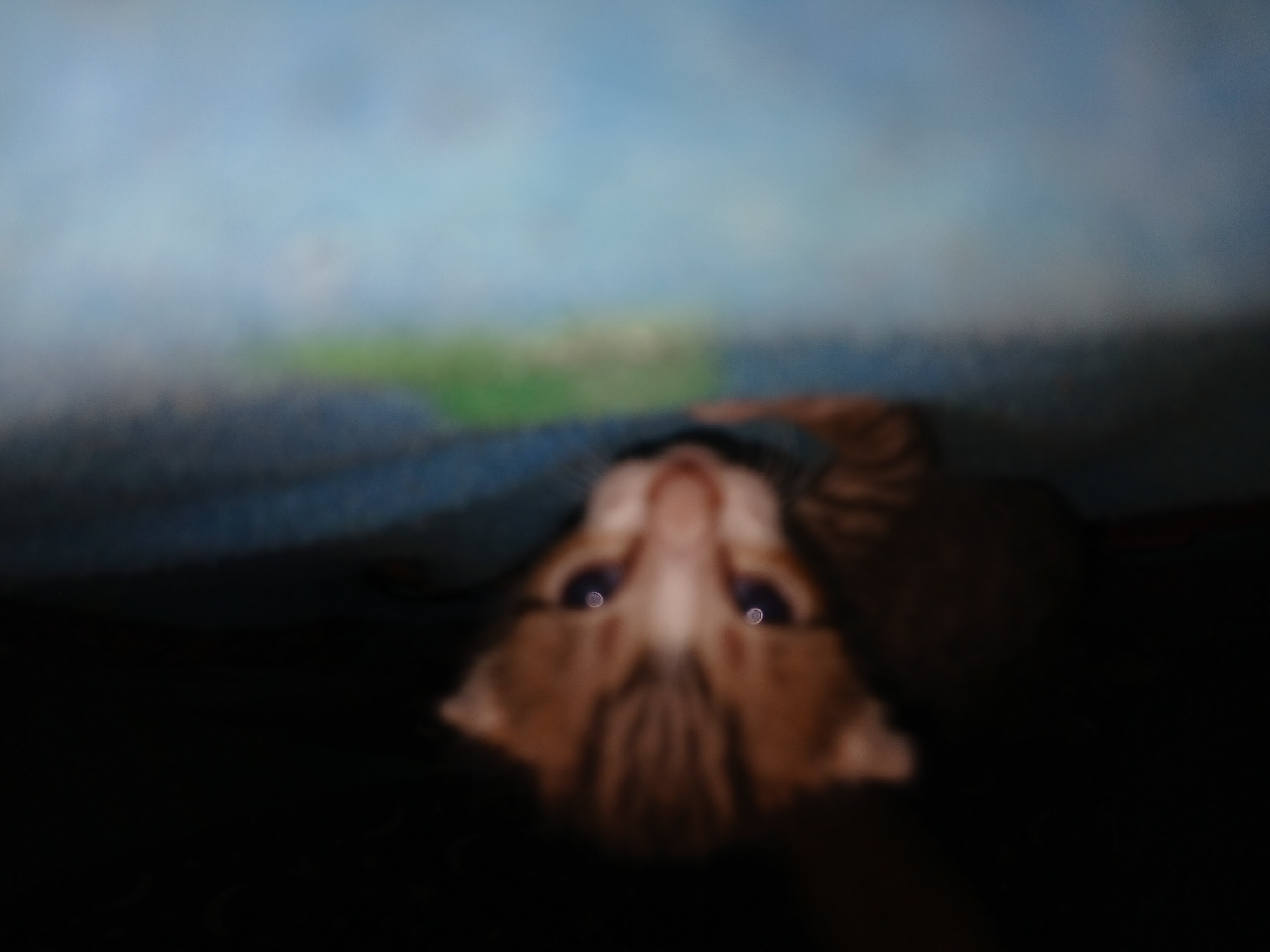 The media file captures a highly blurred image of a small, tabby-patterned kitten peeking out from under a blue covering. The kitten's face is oriented upside down relative to the viewer, with its prominent blue-hued eyes and distinct white reflections being the most discernible features. The background is extremely out of focus, showing indistinct patches of light blue, green, and darker tones, possibly suggesting a blurred outdoor scene or a colorful display. No specific activity beyond the kitten peeking is evident. The overall image quality is soft and hazy due to the significant blur. No visible text or specific location cues are present within the image, apart from the given context of Altagracia, Venezuela. The time of day and weather conditions are indeterminate.