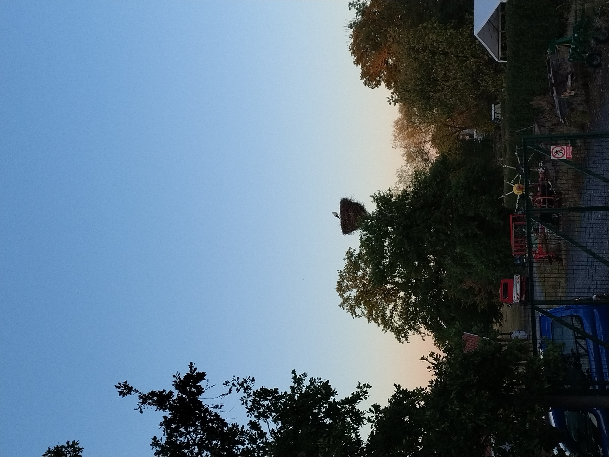 A wide shot captures an outdoor scene at dusk in Dobev, Czechia. In the center of the frame, a large, dark bird's nest is perched atop a tall tree. A single white stork stands in the nest. The sky above is a clear gradient of pale blue to pale orange. Dark green trees frame the left and right sides of the image. In the foreground, a black metal gate separates the viewer from the scene beyond. Behind the gate, a blue vehicle is visible on the left, and a red utility vehicle is parked on the right, near a small building with a red roof. Various agricultural equipment, including a green tractor and a yellow circular object, are scattered around the area. A white tent structure is visible in the far right background.