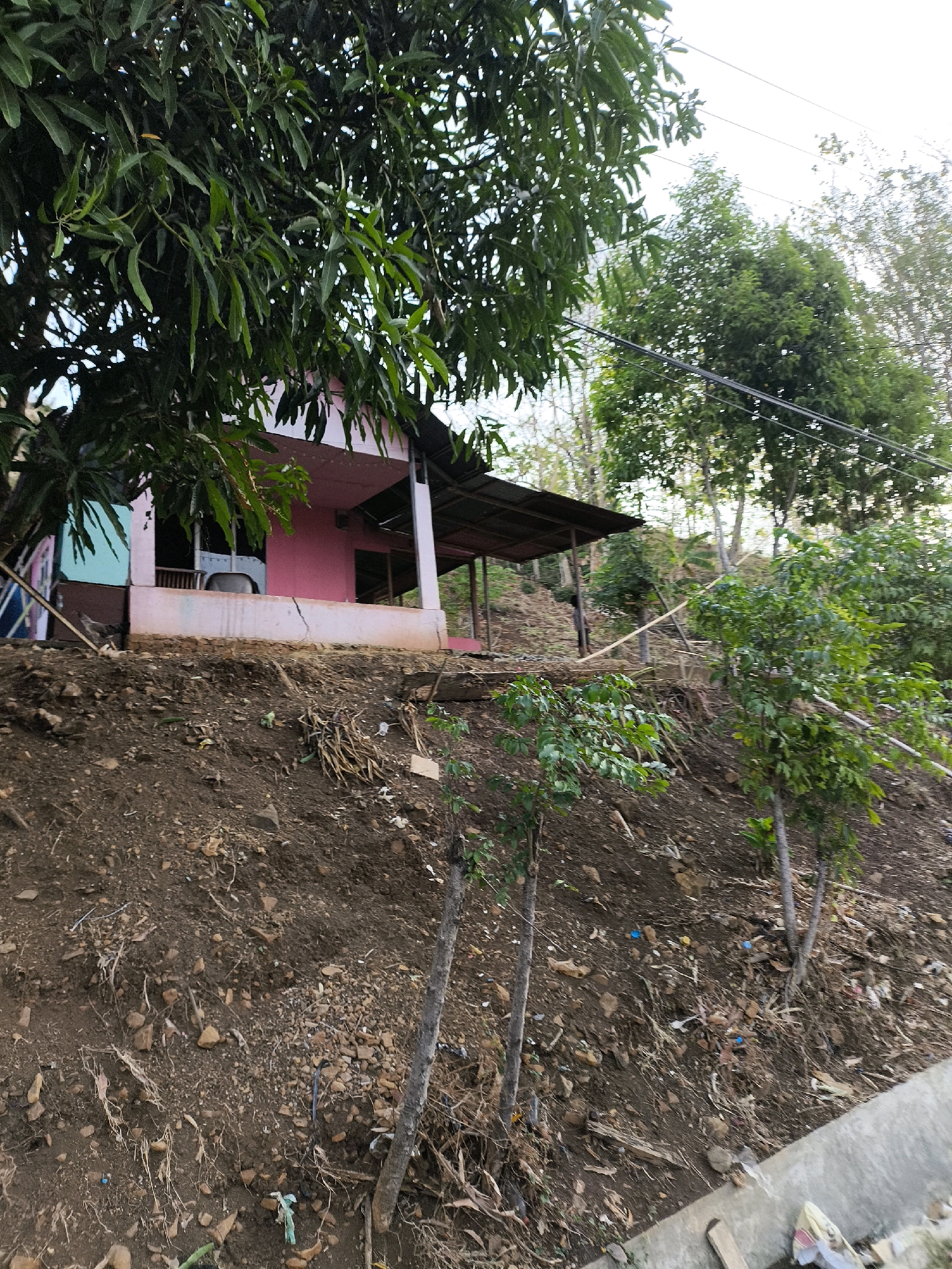 A pink house with a corrugated metal roof sits on a steep, dirt embankment in a rural or undeveloped area. The house has a covered porch and appears to be in disrepair. Several trees with green leaves surround the house and the embankment. The ground is covered in loose dirt, rocks, and debris, including what appears to be litter. The scene is set against a backdrop of more trees and a bright sky.