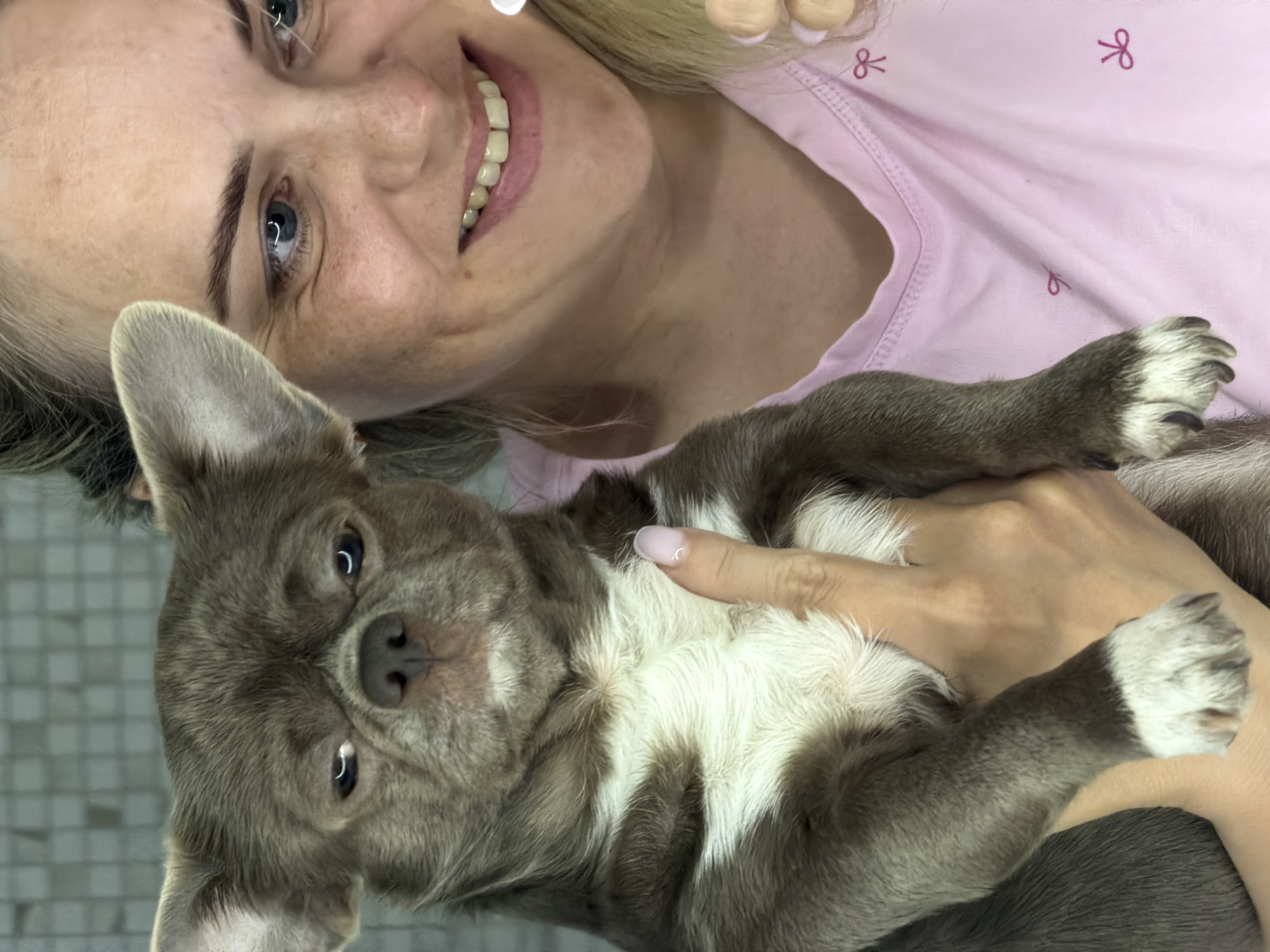 A close-up, vertically oriented photograph captures a joyful moment between a woman and a small dog indoors in Votkinsk, Russia. The woman, positioned in the upper left of the frame, has blonde hair and striking blue eyes, and is smiling broadly towards the camera, revealing her teeth. She wears a light pink top decorated with small, darker pink bow patterns.
She is tenderly holding a small dog, which occupies the lower and central part of the image. The dog has soft, medium-length grey-brown fur with distinct white markings on its chest, belly, and paws. Its dark eyes and nose are visible as it looks directly at the camera, appearing calm and content. One of the woman's hands, featuring light pink fingernail polish, is visible, gently supporting the dog. The background is simple, with a tiled surface visible behind the dog's head, suggesting an indoor setting. The image conveys a strong sense of affection and happiness between the woman and her pet.