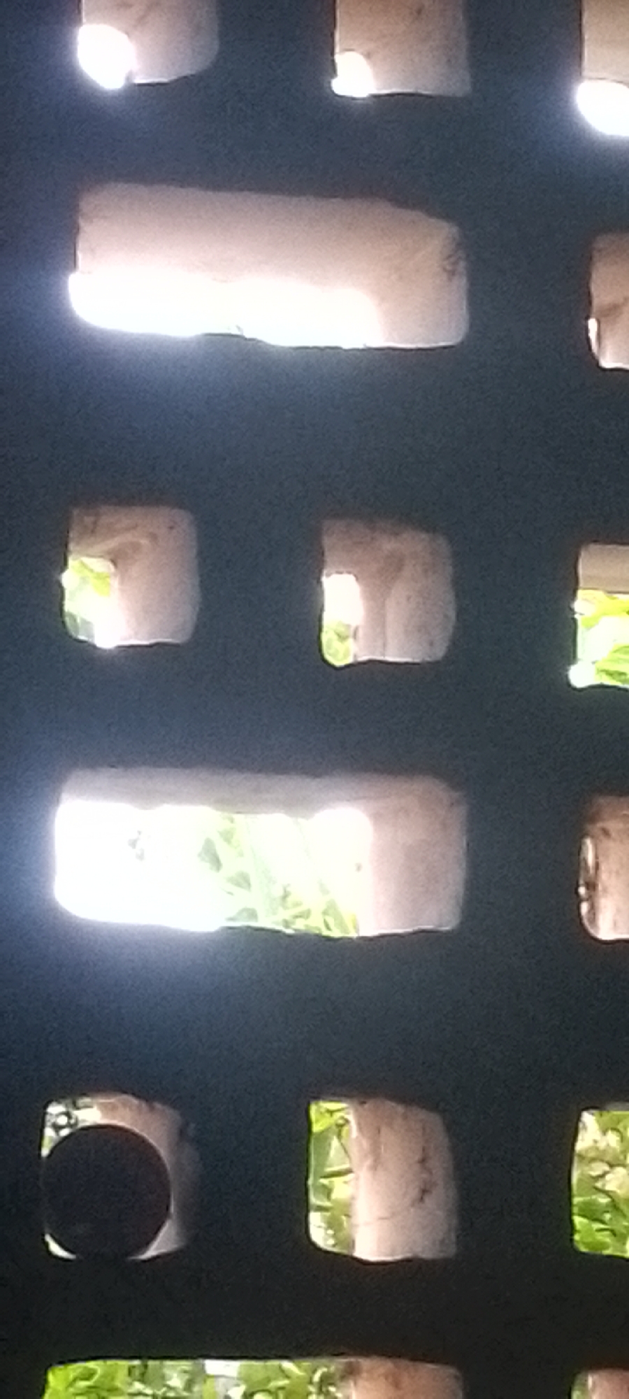 The image shows a section of a wall with rectangular and square openings, possibly made of bricks or similar material. Light shines through the openings, creating bright patches and revealing glimpses of green foliage or vegetation outside. A dark, shadowy background suggests the wall is shielding the viewer from the full intensity of the sunlight. The location in Juan Griego, Venezuela, is not directly discernible from the image content alone but is part of the prompt description.