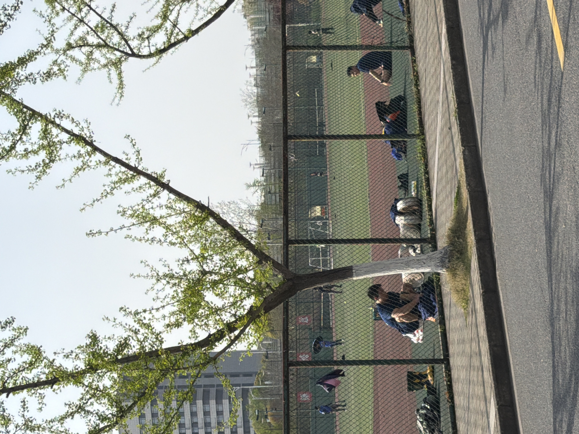 The image shows a baseball field next to a sidewalk and road in Jiangning District, China. A chain-link fence separates the field from the sidewalk. Several people are present on the field. Some are squatting along the fence. A tree is positioned on the left side of the image with its branches extending across the scene. A building is visible in the background.