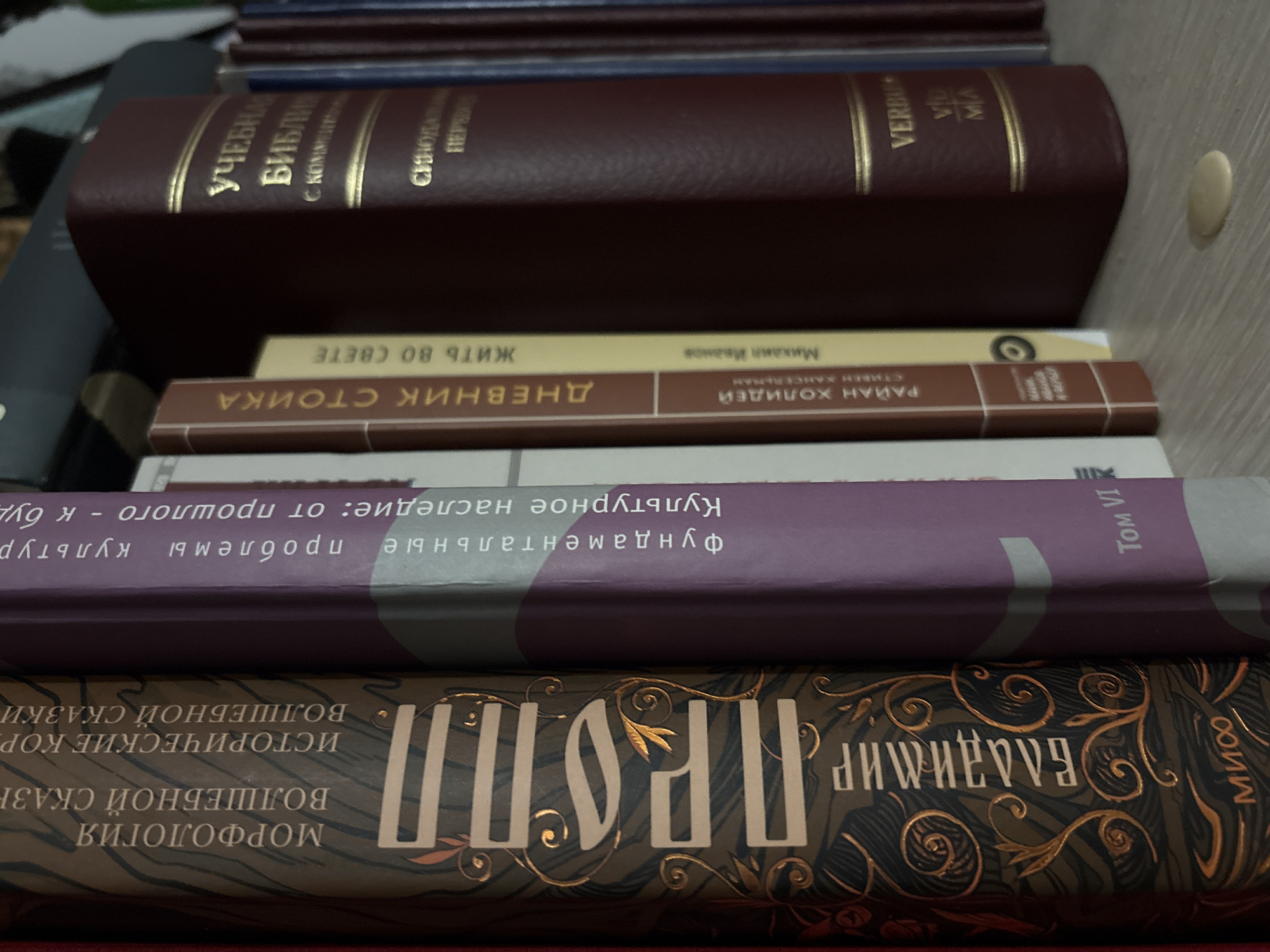 The image shows a stack of books. The top book is dark brown with gold lettering, partially obscured by another book. Below it, a beige book reads "Жить во СВЕТЕ" (Live in Light) in Russian. The next book down is brown, with "ДНЕВНИК СТОИКА" (Stoic's Diary) and the author's name, Ryan Holiday, also in Russian. A purple book with "TOM VI" on the edge is next, followed by a book with ornate gold lettering, partially obscured, reading "Пропп Владимир" (Propp Vladimir) in Russian. The visible text on the books suggests a collection of literature, potentially including religious texts, philosophical works, and studies on folklore or mythology. There is no indication of Izhevsk, Russia in the image.