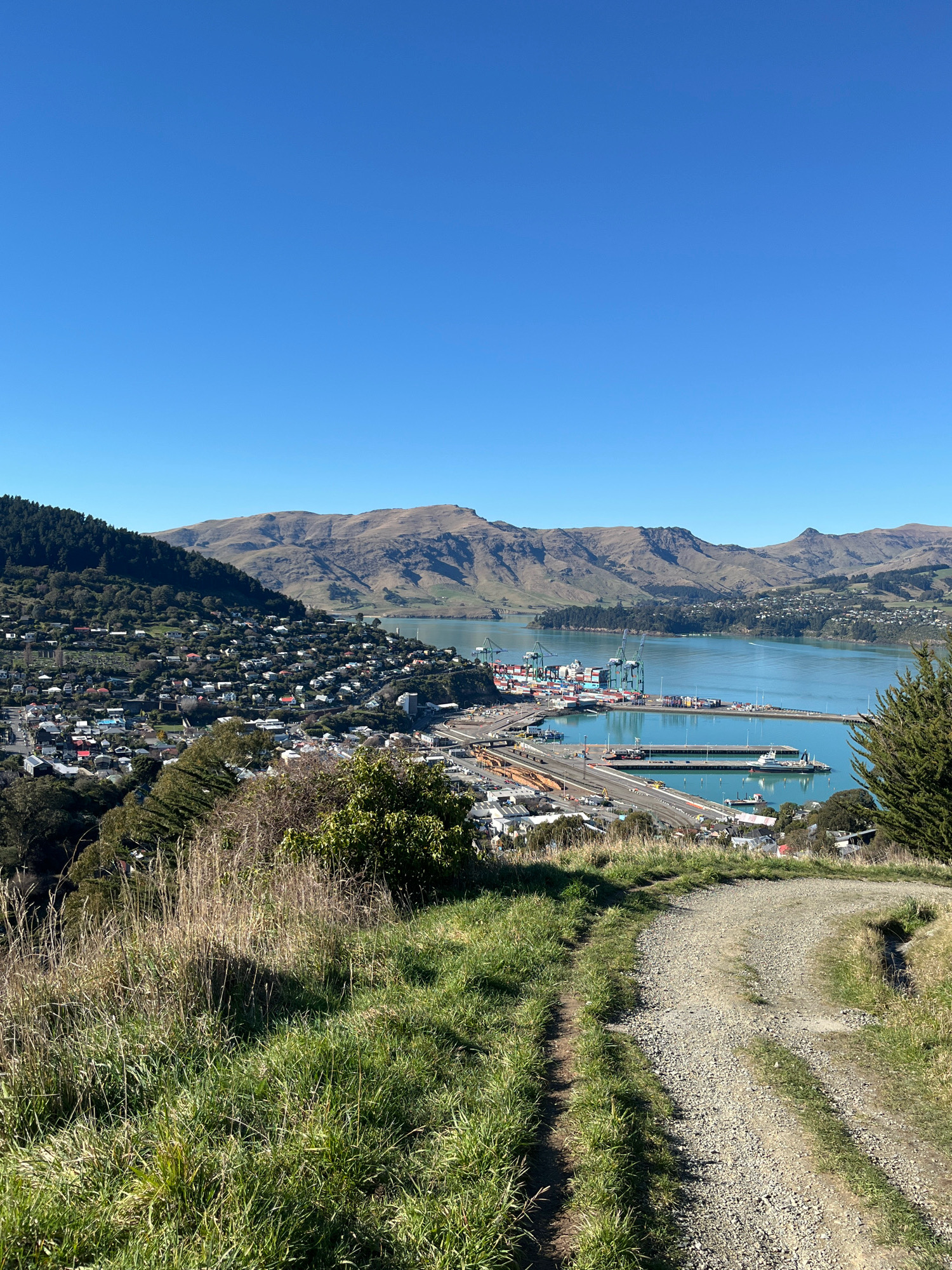 A high-angle, wide shot captures a panoramic view of Lyttelton Harbour in Banks Peninsula Community, New Zealand. The foreground features a gravel path curving to the right, bordered by green grass and dry, tall grass. The midground shows a dense residential area with a mix of houses, spread across a hillside that slopes down towards the harbor. Beyond the houses, a commercial port is visible, with numerous shipping containers stacked, cranes, and docked vessels. The harbor water is a vibrant turquoise, meeting a distant, rugged mountain range. The sky is a clear, bright blue. The scene is bathed in natural sunlight, casting distinct shadows.