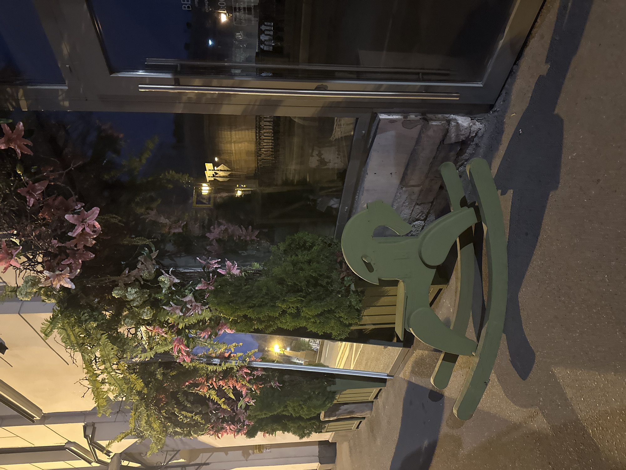 Here is a description of the image:
The image depicts a nighttime scene on a sidewalk in Saint Petersburg, Russia. A green, wooden rocking horse is positioned near the entrance of a building with glass doors. The doors reflect the street scene, including streetlights and possibly other buildings. Plants and flowers are visible near the entrance. The sidewalk is made of pavement.