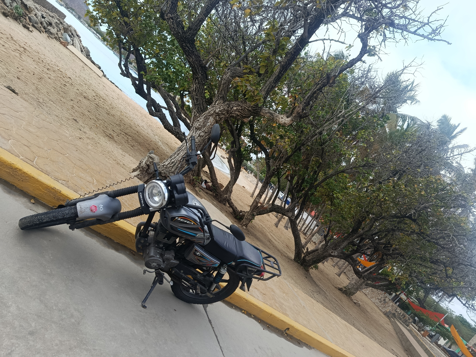 A slightly tilted full shot captures a parked motorcycle on a paved path next to a sandy area, flanked by numerous trees, with the sea visible in the background under an overcast sky.
The central subject is a black and grey motorcycle, equipped with a single prominent headlight, a black padded seat, and a rear cargo rack. It rests on its kickstand on a grey concrete path, which is bordered by a yellow curb. Visible text on the motorcycle includes "GEFRA" on the front suspension, "BERA" on the side of the tank/body along with "S-P", and "BERA" again on the seat and near the rear wheel. A red hexagonal sticker with "6G" is also seen on the front forks.
To the left of the path, a wide stretch of light-colored sand extends towards the sea. In the distance, beyond the sandy shore, a calm body of water is visible, with faint outlines of land or hills on the horizon. The shoreline features some rocks.
Parallel to the path and sand, a line of trees with thick, gnarled trunks and branches dominates the middle and background. Some of these trees still retain green foliage, while others appear to be bare-branched. Further back among the trees, colorful tarps or awnings (orange and yellow) can be glimpsed, suggesting structures like stalls or shelters. Faintly visible in the sand beneath the trees in the mid-ground, a person appears to be lying down.
The scene depicts a daytime setting, likely with diffused light due to the cloudy or hazy sky. The overall atmosphere is calm, characteristic of a coastal or beachside environment. The location is Juan Griego, Venezuela.