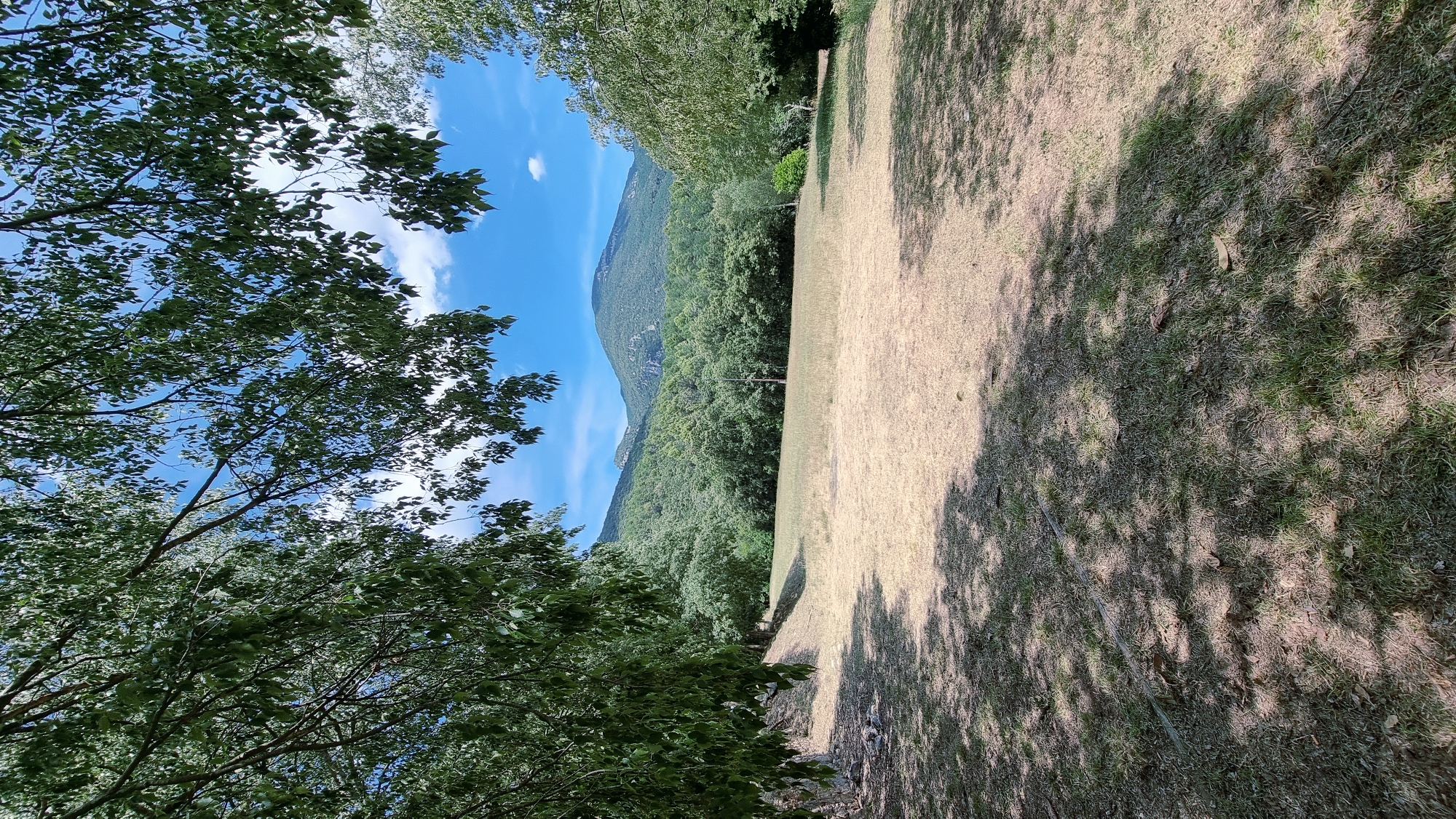A sunlit, dry grassy field is situated in front of a verdant, forested mountainside. The foreground features the dappled shade of leafy branches casting shadows across the dry grass. In the mid-ground, the field transitions into a dense forest, which then gives way to rolling, tree-covered hills that recede into the distance. The sky above is a bright blue with scattered white clouds. The scene appears to be in a rural, natural setting in Sales de Llierca, Spain.