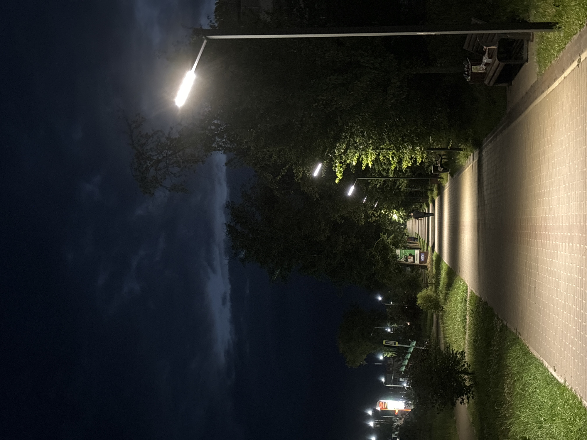 The media file shows a nighttime scene in Chaikovsky, Russia. A paved pathway, illuminated by streetlights, stretches into the distance. The pathway is lined with a grassy area and trees. On the right side of the pathway, a park bench is visible. On the left side of the pathway, streetlights are mounted on poles, casting light on the trees and the pathway. The sky is dark, with some clouds visible. The overall mood is peaceful and serene, suggesting a quiet evening walk. There is no visible text in the media file.