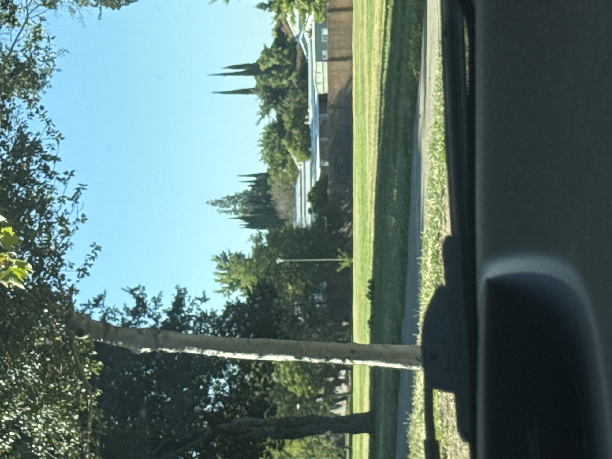 The image shows a view from inside a vehicle, looking out through the windshield. In the foreground, the dark dashboard and part of the windshield frame are visible. Beyond the windshield, a grassy area is visible, bordered by a sidewalk. A light-colored tree trunk is prominently featured in the mid-ground, with other trees and lush green foliage in the background. Further in the distance, a low-lying building with a brown fence in front of it is seen. The sky is clear and blue, suggesting a sunny day. Tall, pointed evergreen trees are visible above the building. The overall scene depicts a suburban or park-like setting. Based on the visual cues, this scene could be located in Sacramento, United States, potentially in a residential area or a park with mature trees and single-story buildings.