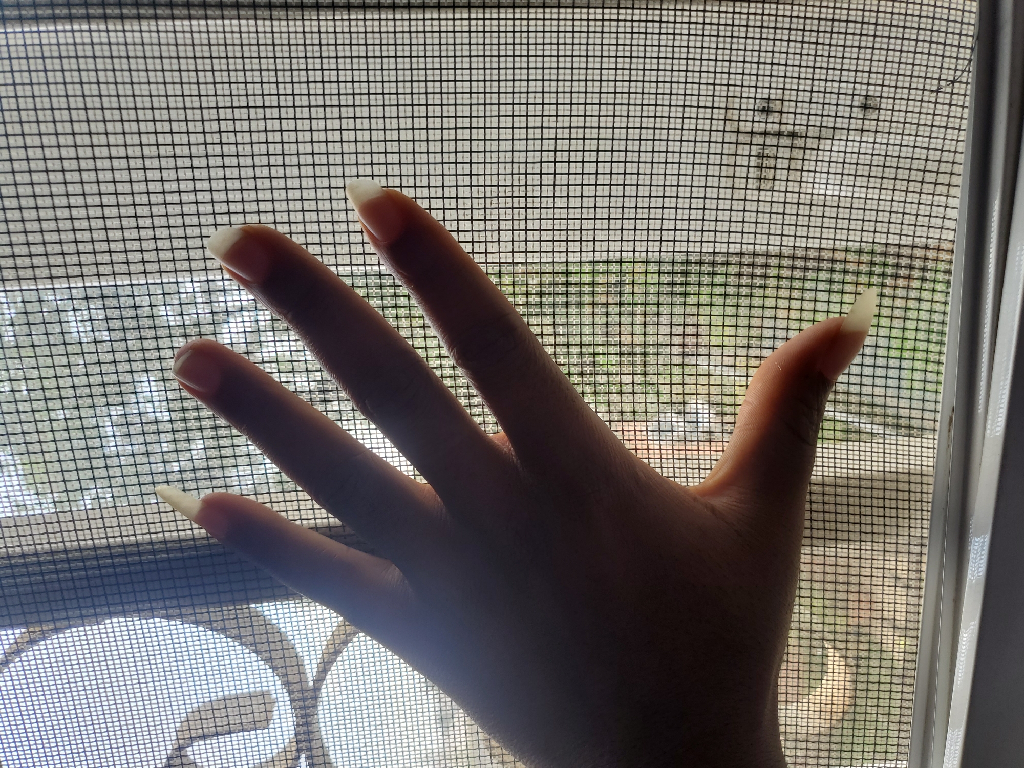 A human hand is pressed against a window screen. The background shows a blurry, indistinct view of vegetation, possibly trees and grass. The hand is dark-skinned and has long nails. The screen is a standard mesh with a dark grid pattern. The location is not discernible as Barden Yana, Nigeria based on the visual information.